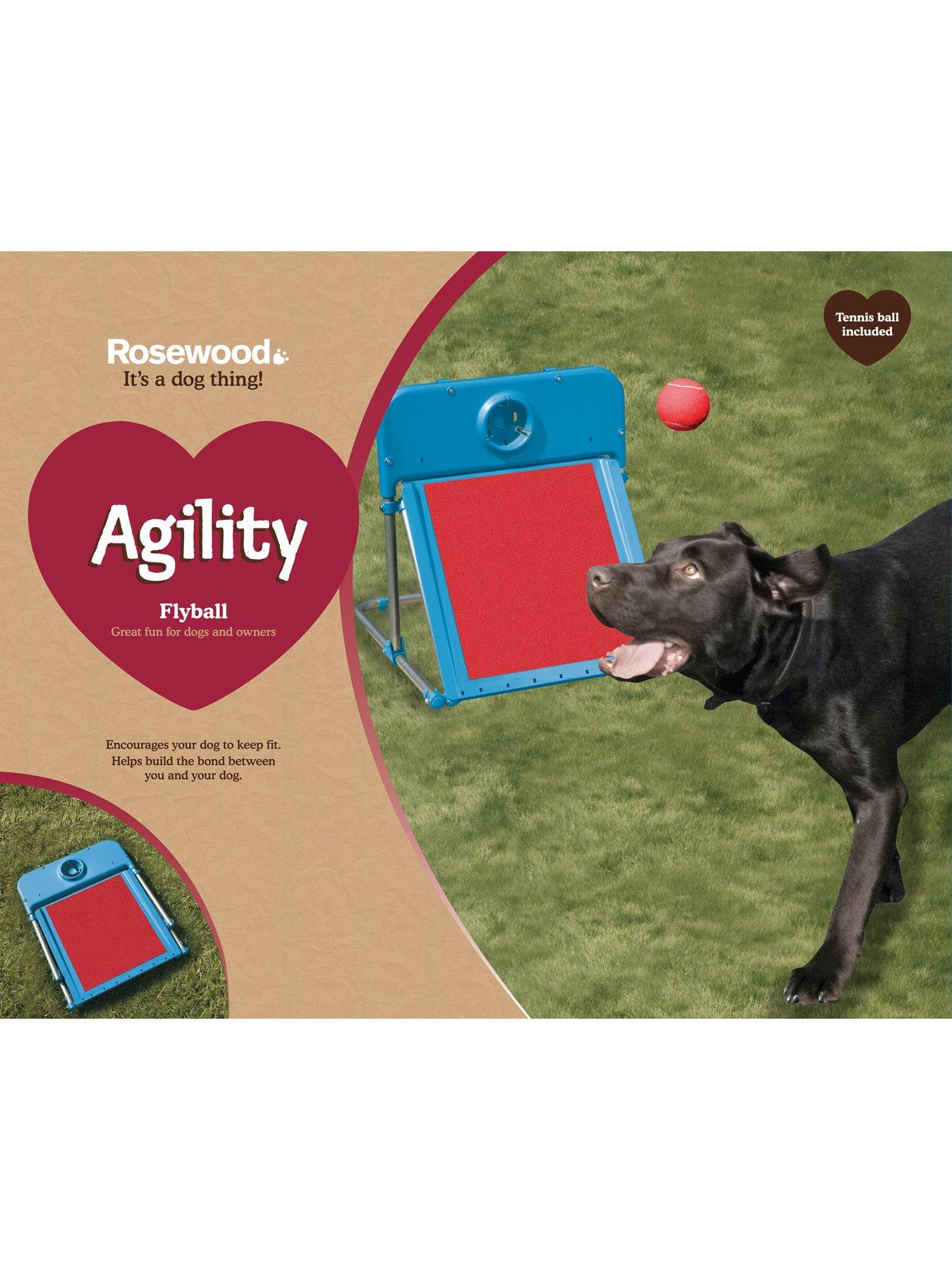 rosewood-agility-flyballoutfit