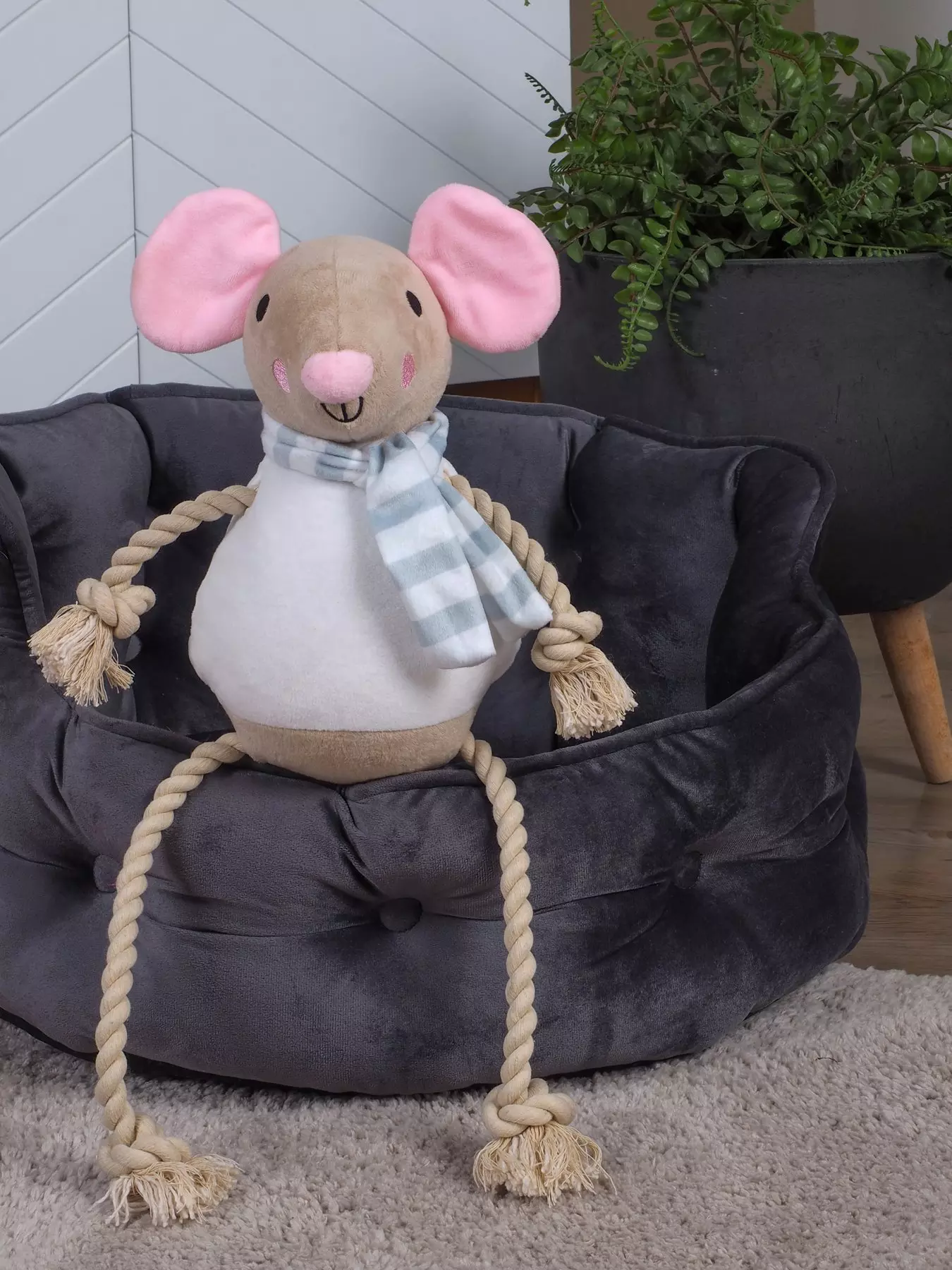 https://media.very.ie/i/littlewoodsireland/VNRZ3_SQ1_0000000099_N_A_RSr/zoon-mousey-rope-legs-playpal-dog-toy.jpg?$180x240_retinamobilex2$&fmt=webp