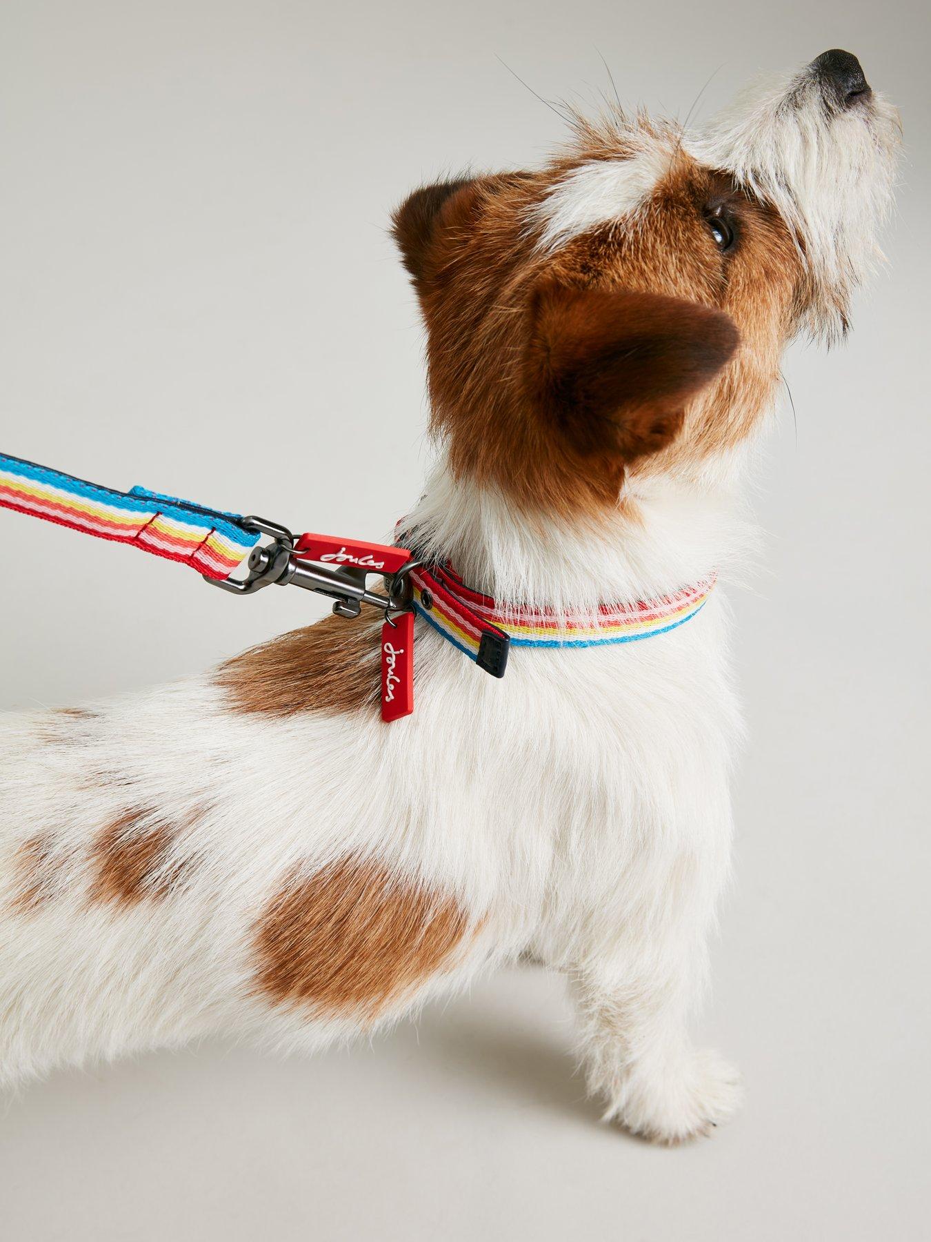 joules-rainbow-stripe-dog-collar-l