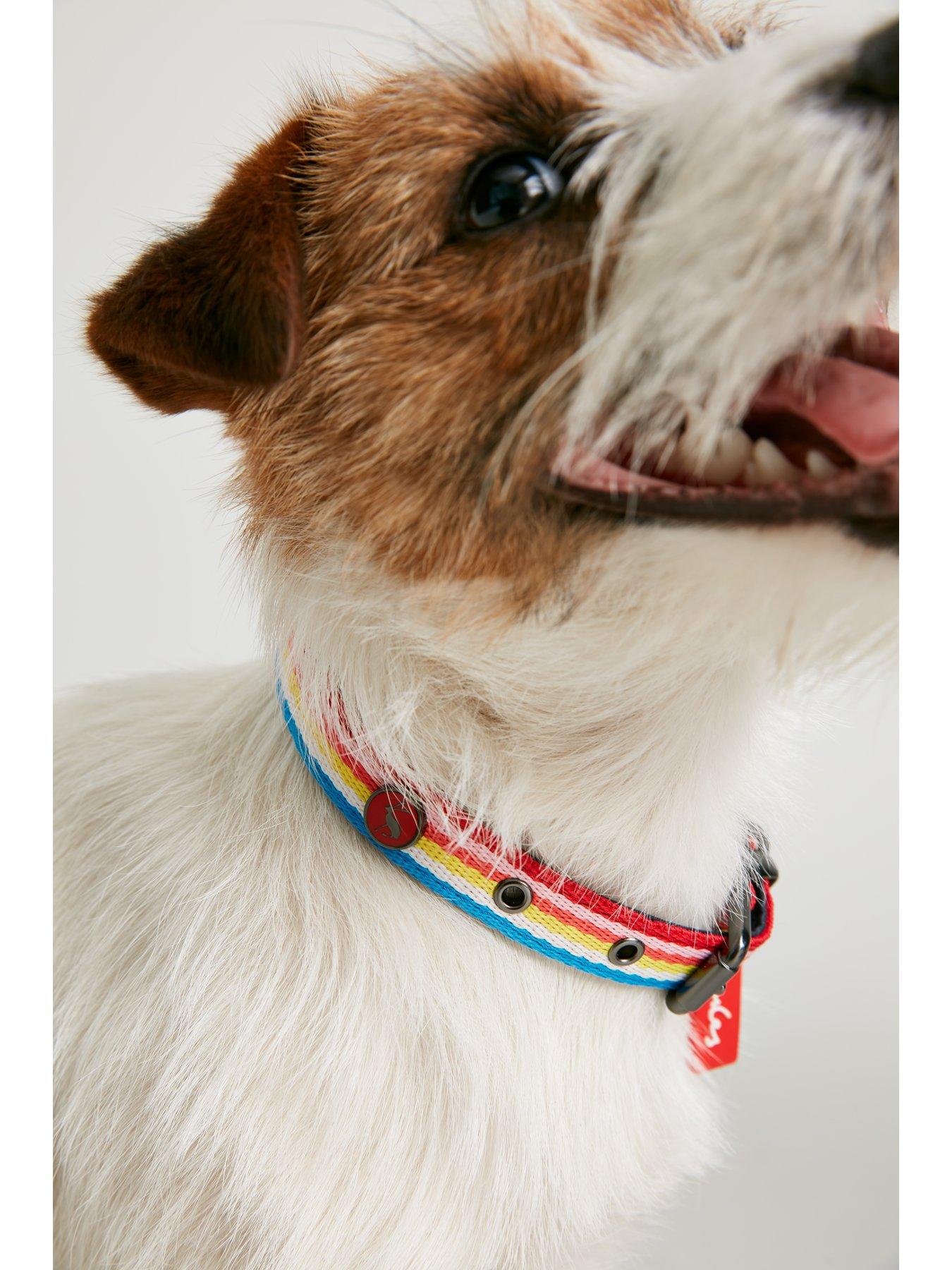 joules-rainbow-stripe-dog-collar-loutfit