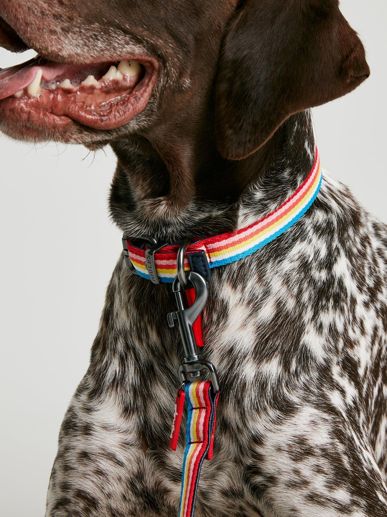 Joules dog collar and hot sale lead