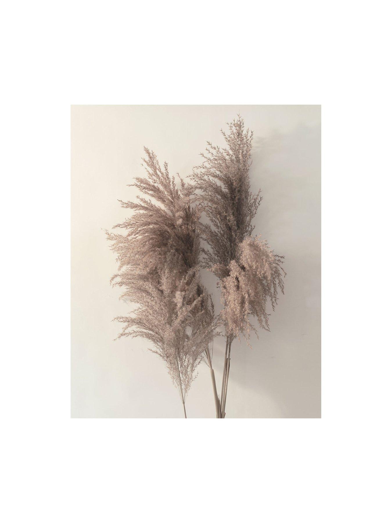 the-art-group-pampas-grass-i-canvas-print-by-ian-winstanleystillFront