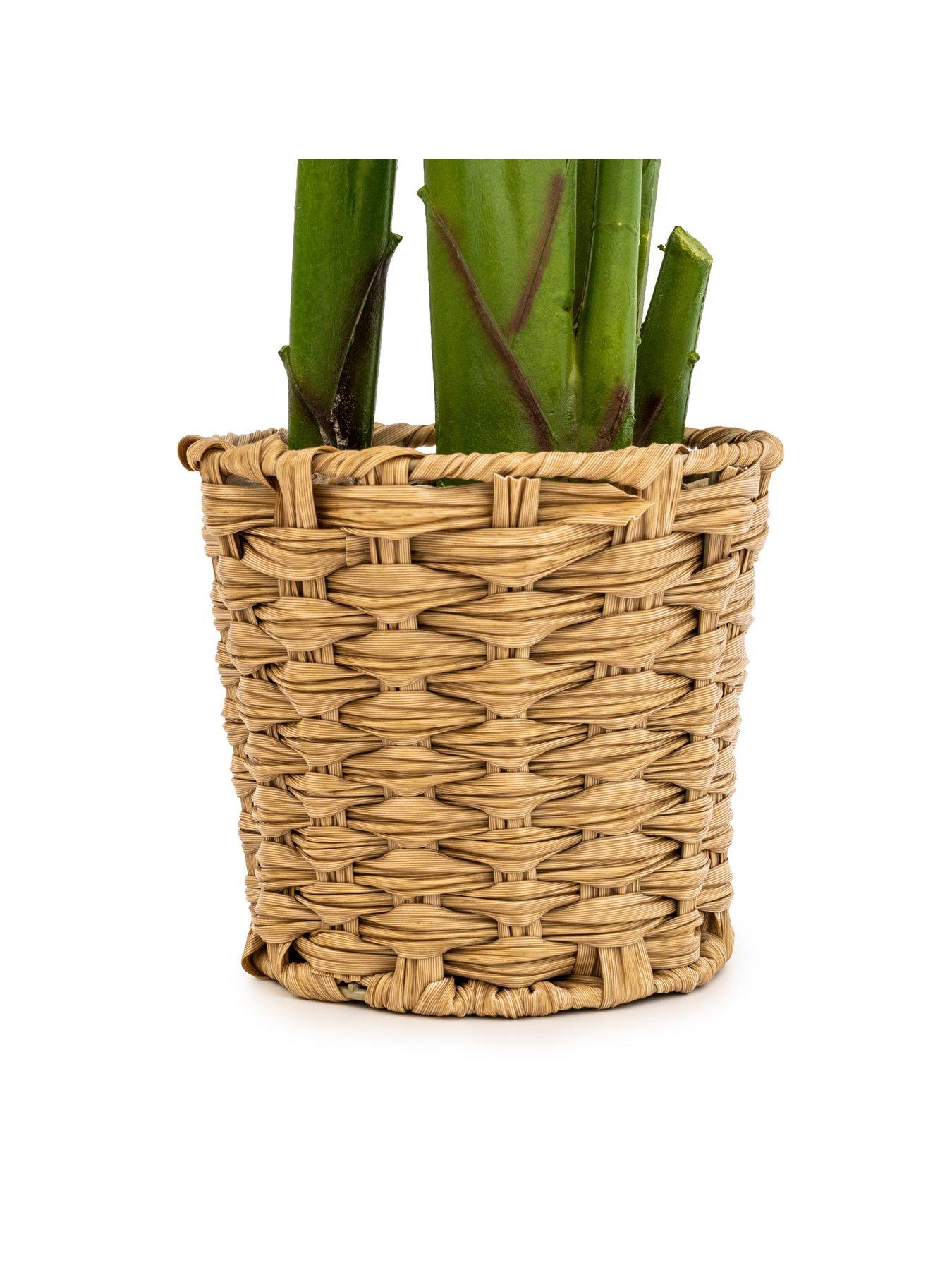 very-home-faux-strelitzia-plant-in-wicker-potback