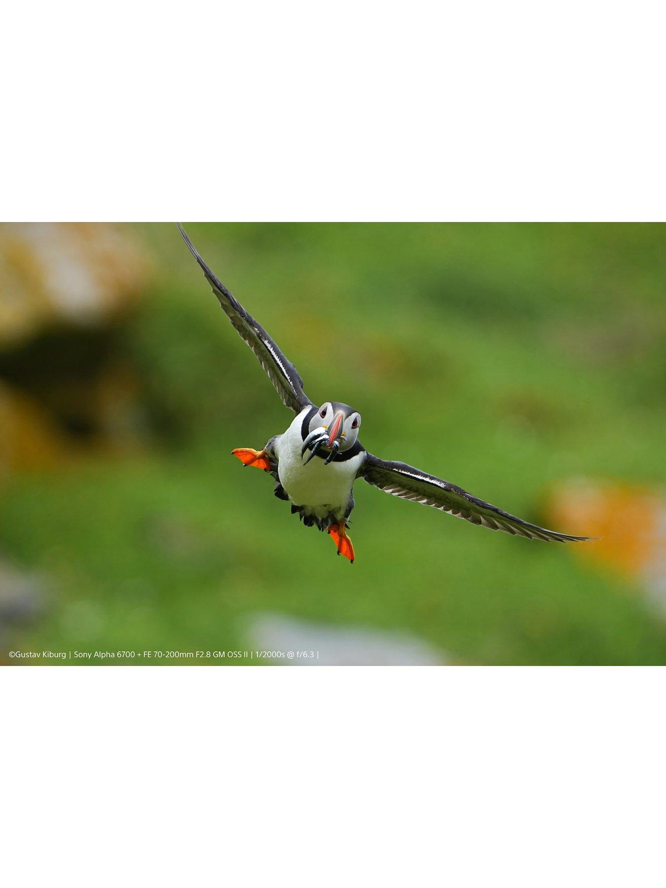 Image 5 of 8 of Sony Alpha 6700&nbsp;APS-C Mirrorless Camera (AI powered autofocus, 5-axis image stabilization)