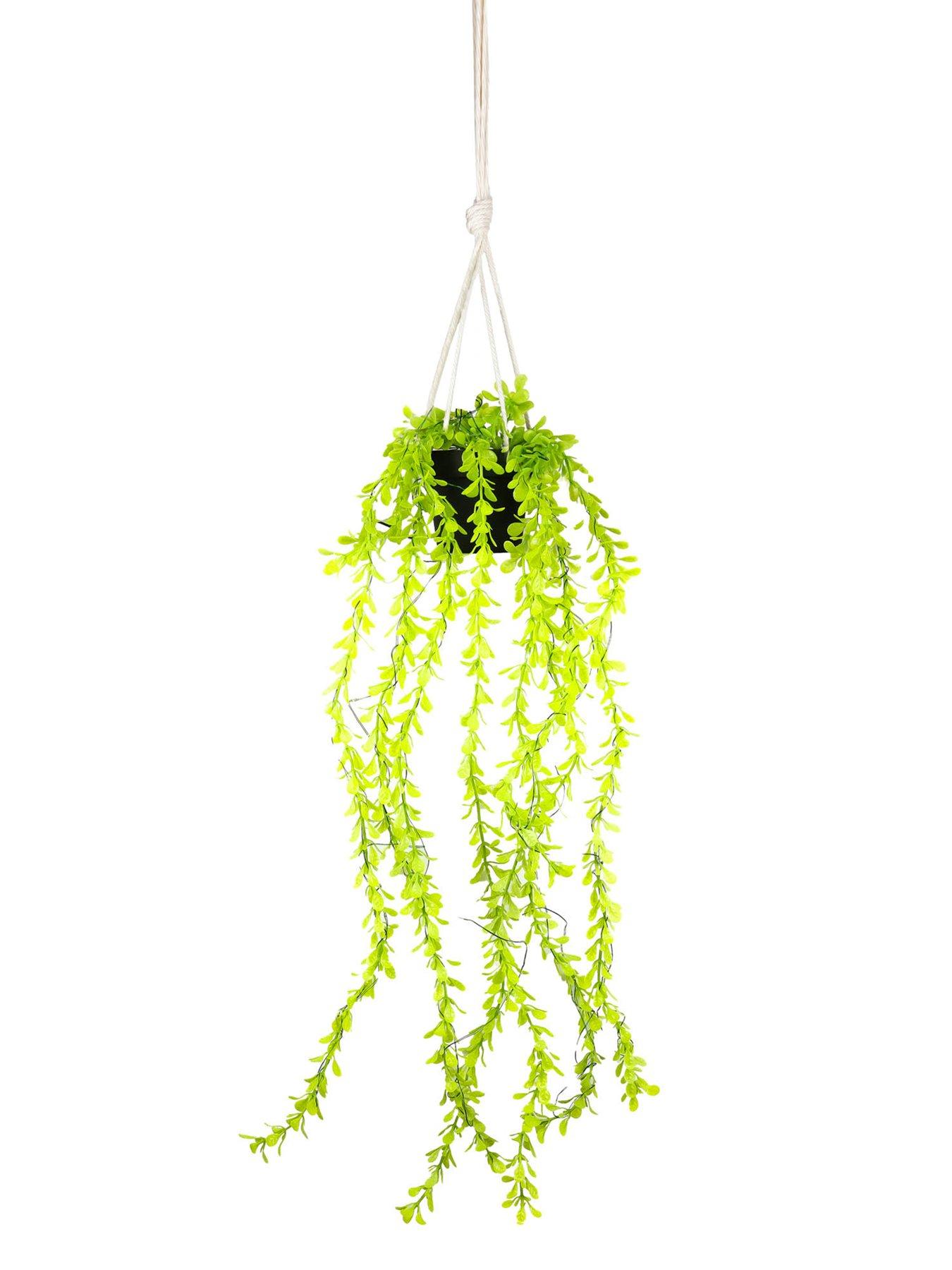 streetwize-solar-hanging-branches-with-pot