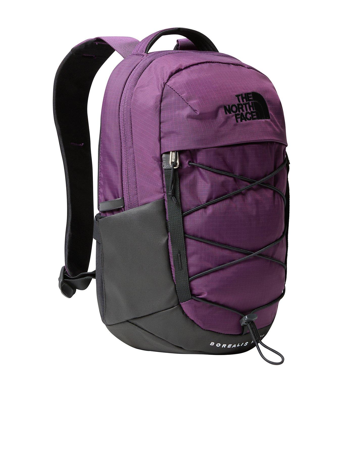 North face jester backpack purple on sale