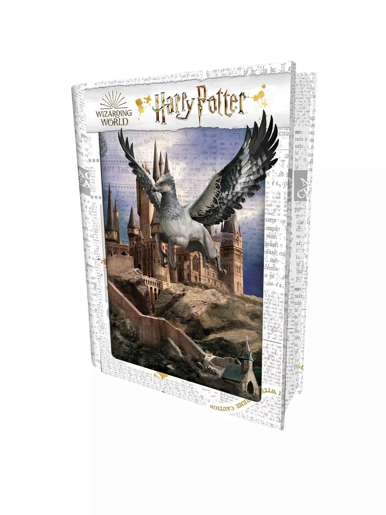 Puzzle 3D Harry Potter Battle Prime3D (300 pcs) - Licence Harry
