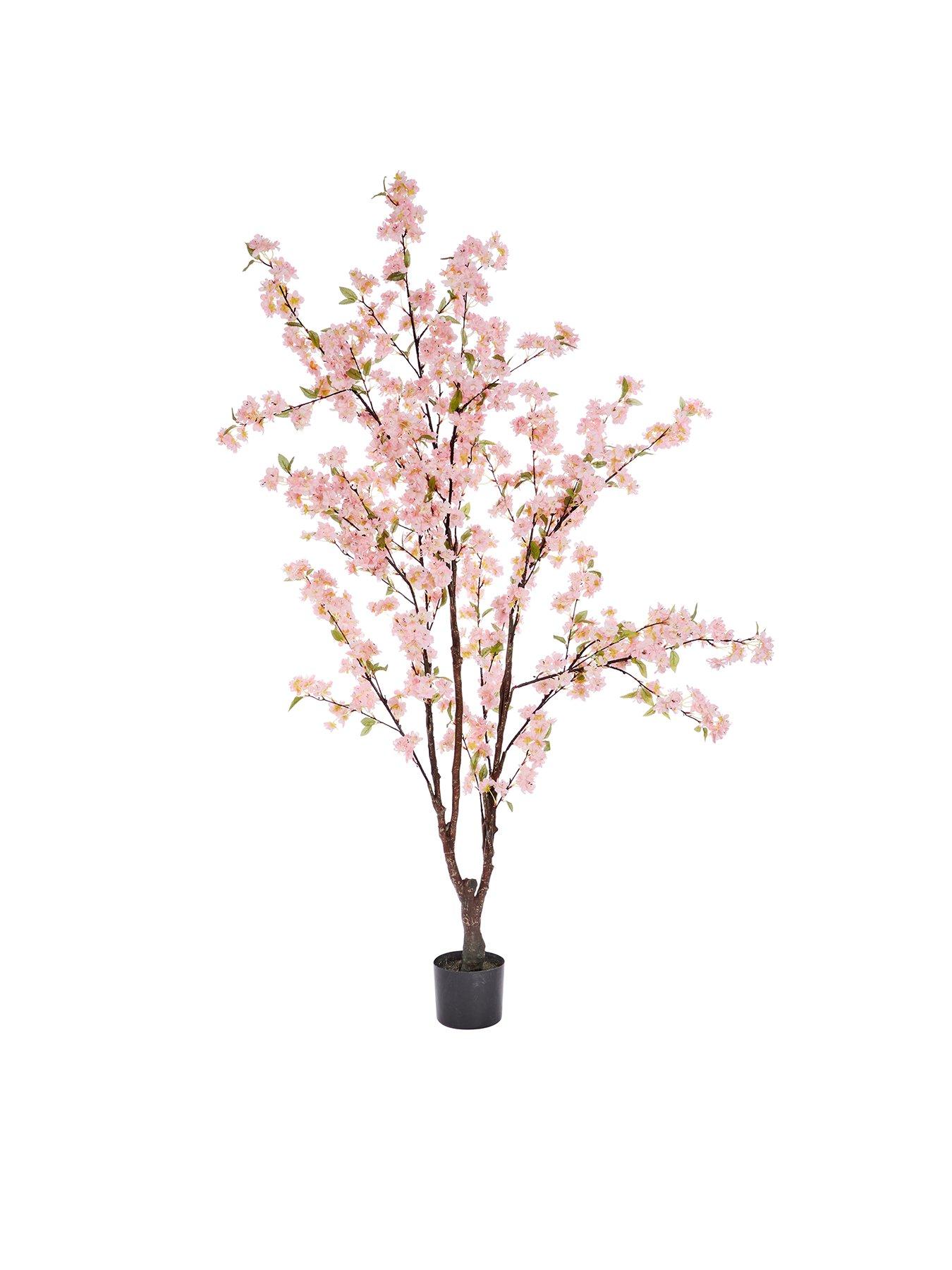smart-garden-pink-cherry-treeback