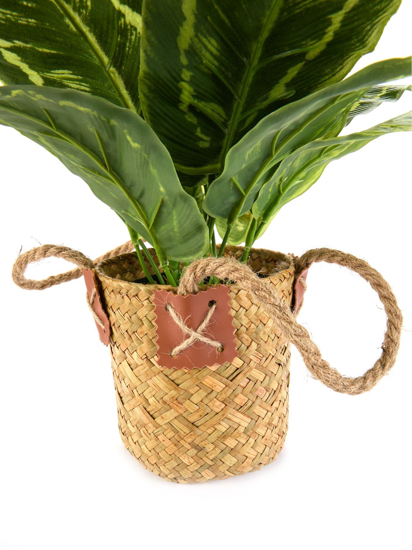 very-home-faux-plant-in-rattan-basketoutfit