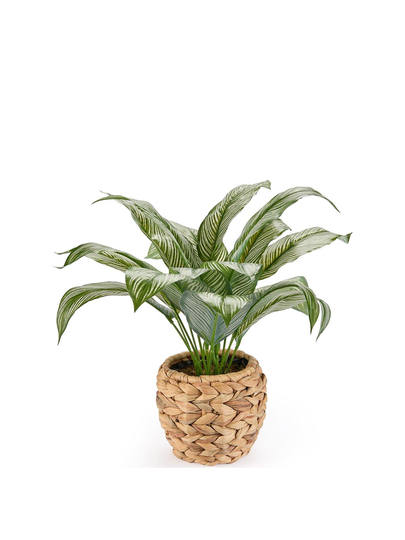 very-home-faux-plant-in-rattan-potstillFront