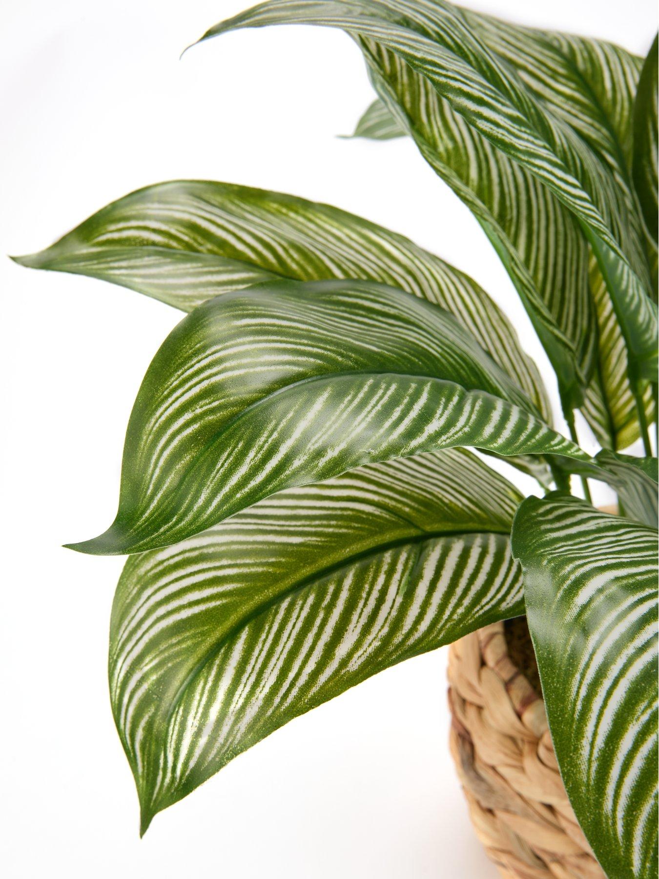 very-home-faux-plant-in-rattan-potdetail