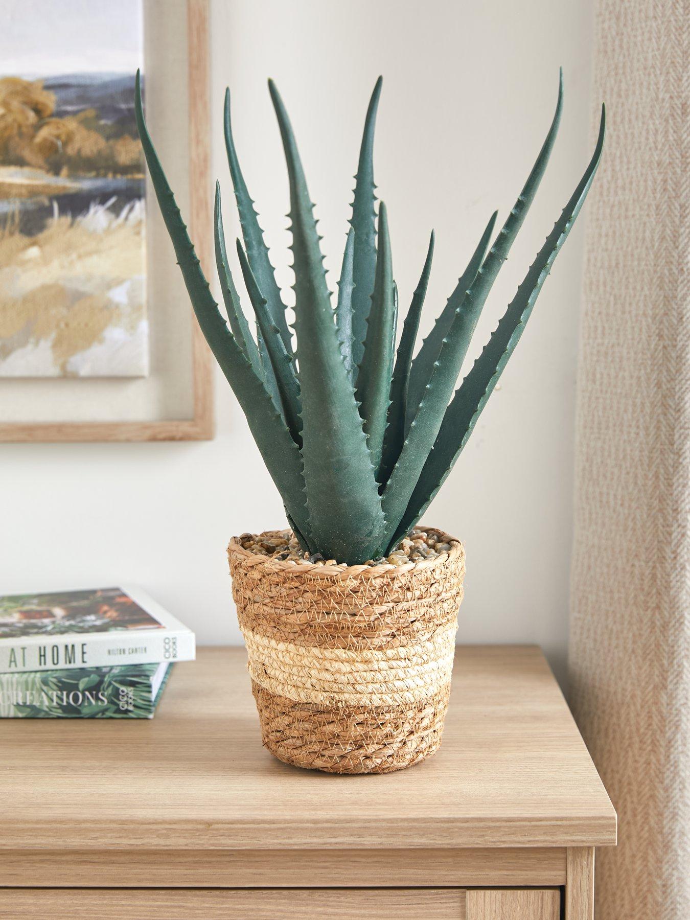 very-home-faux-aloe-plant-in-seagrass-basket