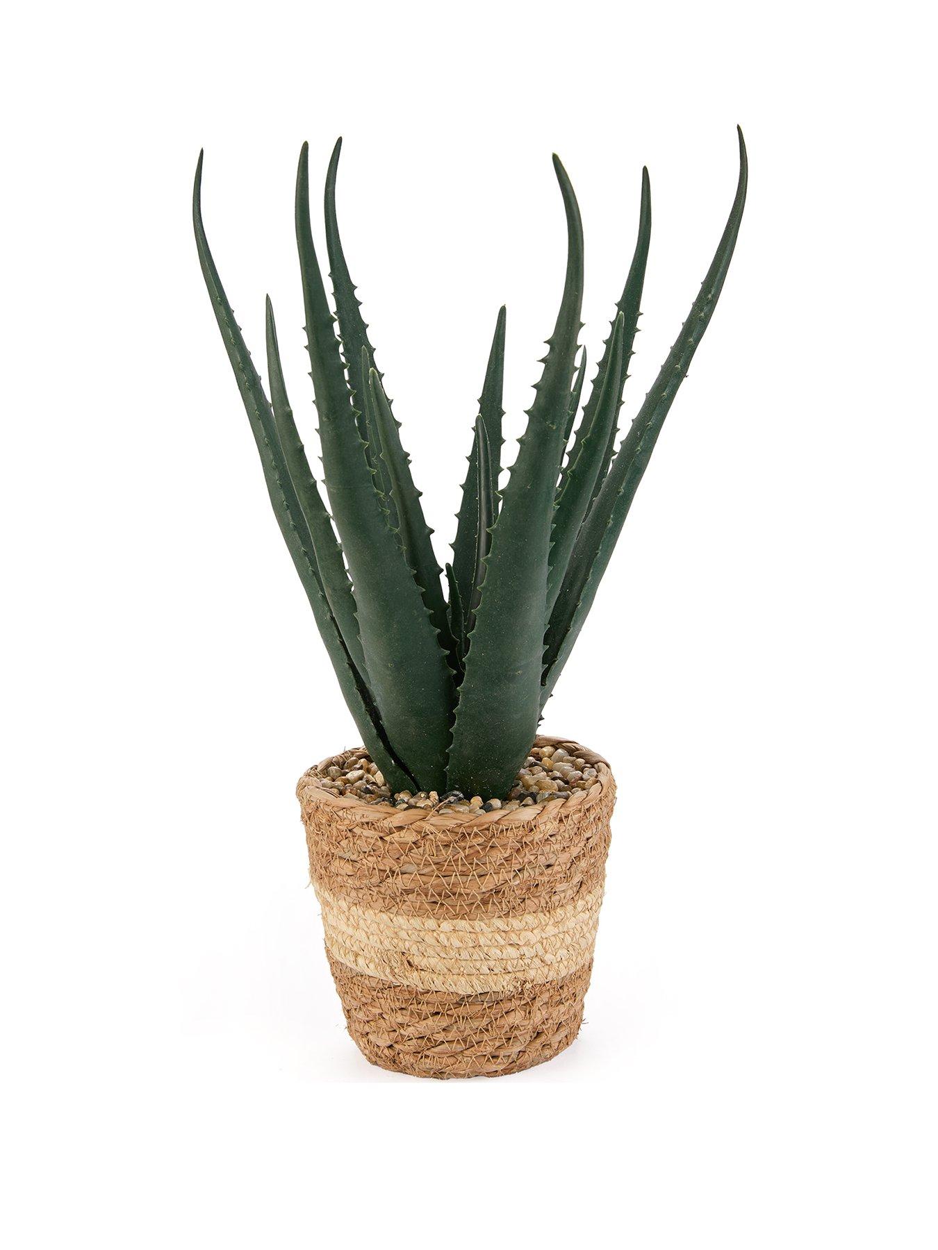 very-home-faux-aloe-plant-in-seagrass-basketstillFront