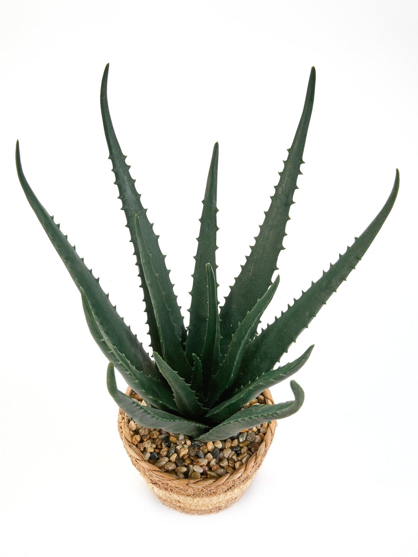 very-home-faux-aloe-plant-in-seagrass-basketback