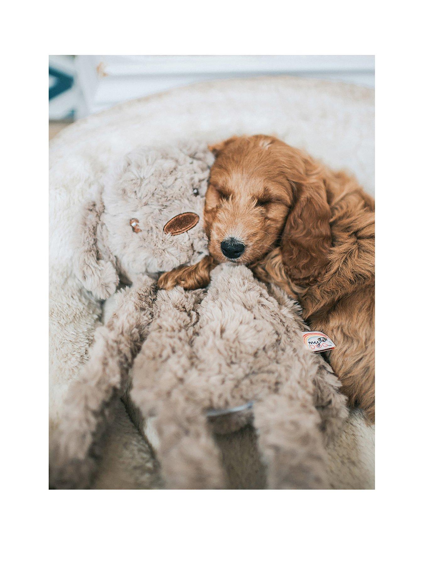 Image 2 of 7 of Rosewood Teddy Anti-Anxiety Plush Dog Toy