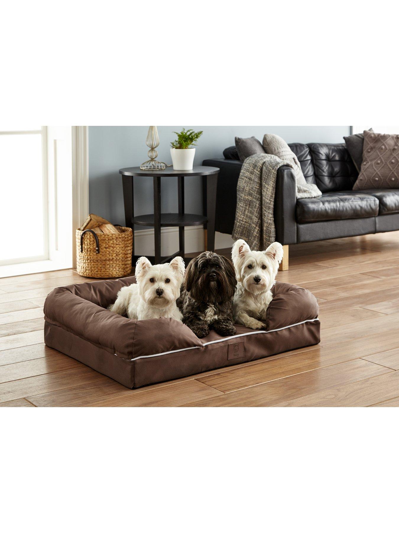 Bunty foldable dog bed best sale