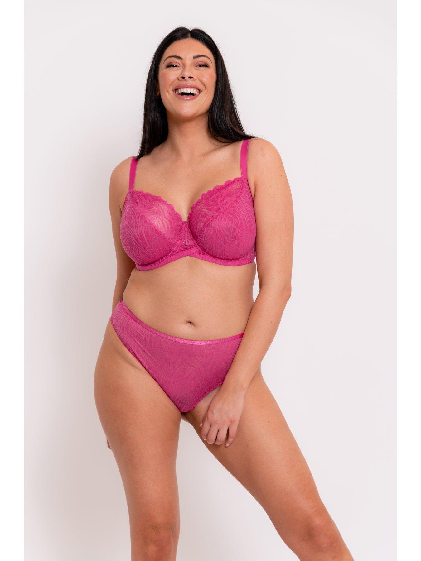 curvy-kate-curvy-kate-lace-daze-brazilian-brief-lipstick-pinkback