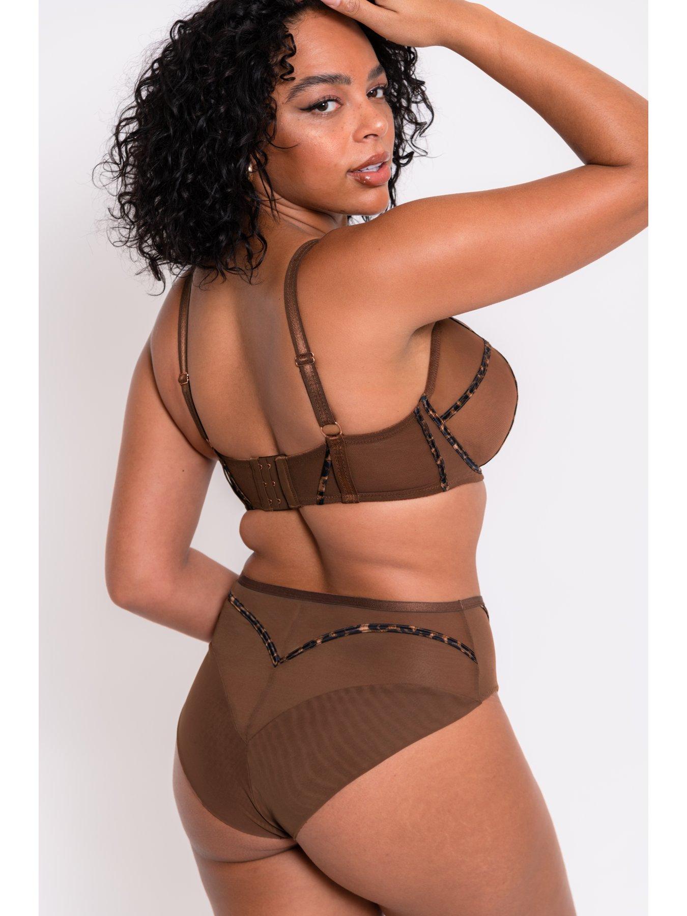 curvy-kate-scantilly-senses-high-waist-brief-leopard-brownstillFront