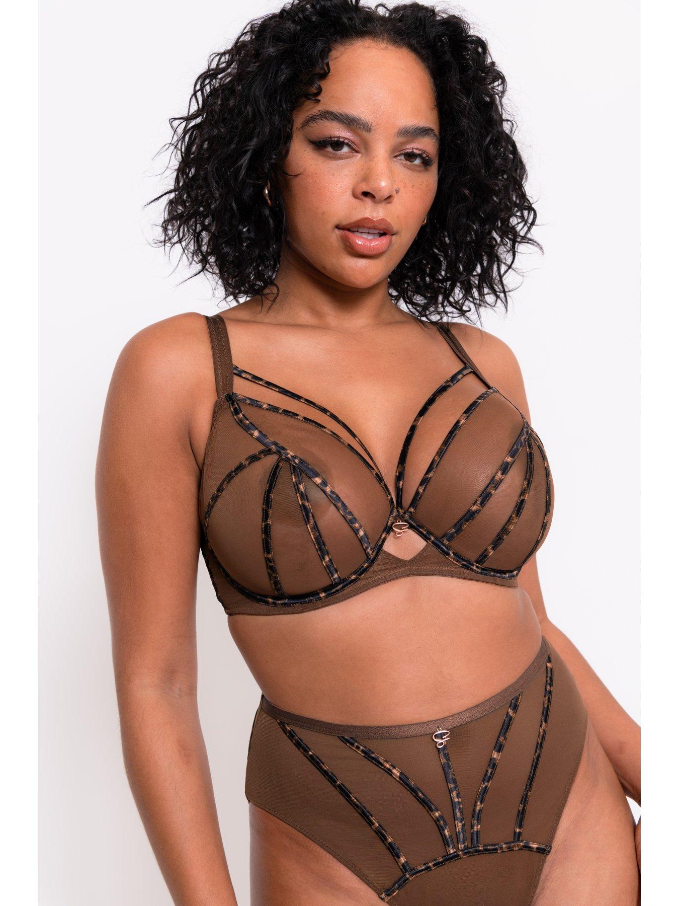 curvy-kate-scantilly-senses-high-waist-brief-leopard-browndetail