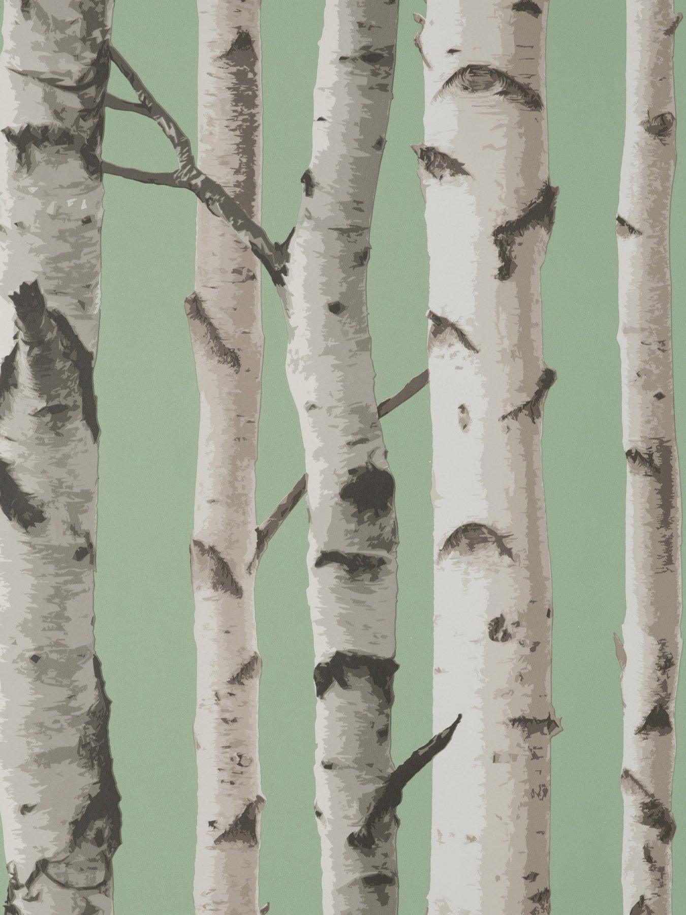 fine-decor-birch-trees-wallpaper-in-sageback