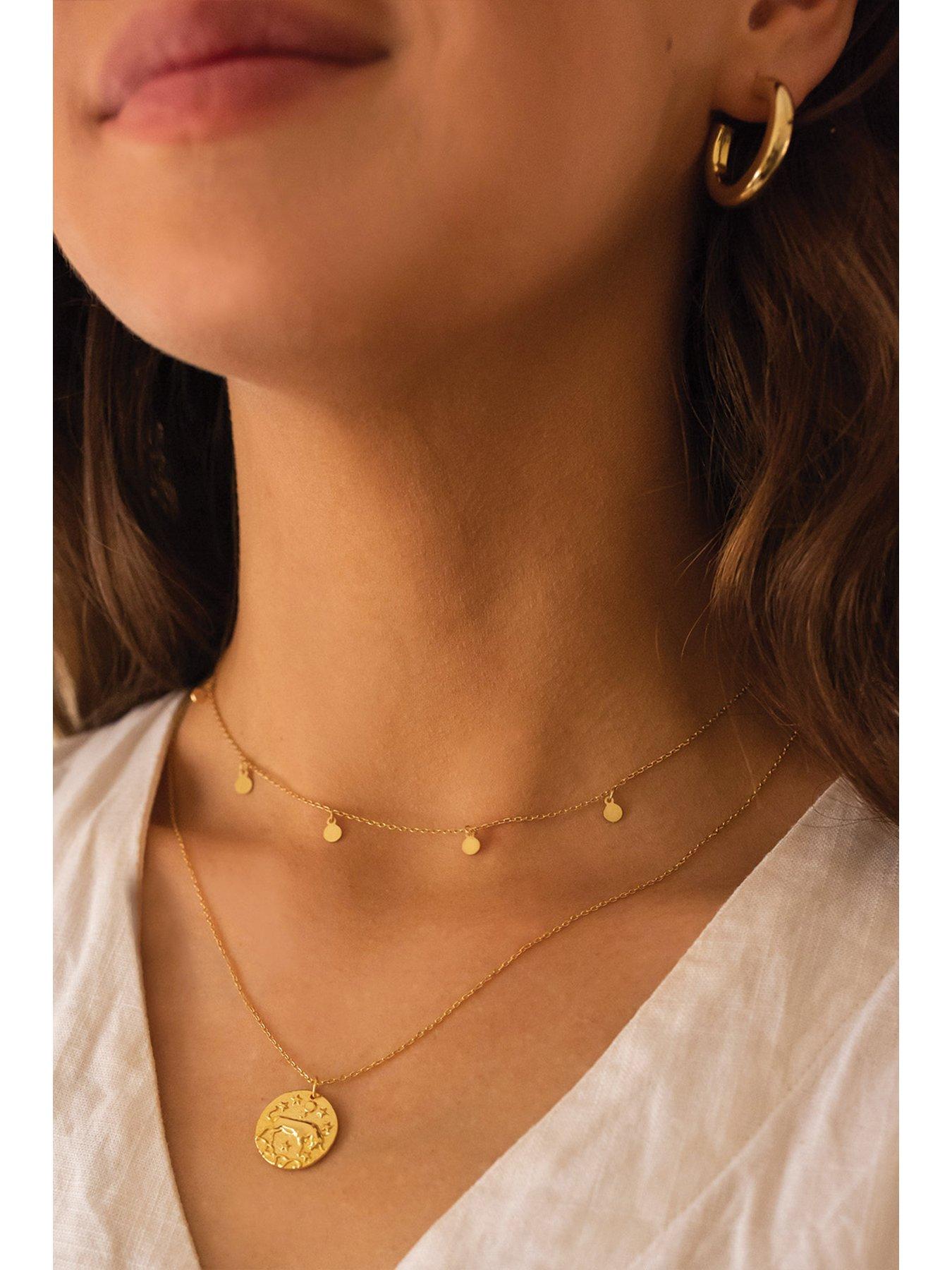 elk-bloom-dainty-18k-gold-plated-disc-choker-necklaceback