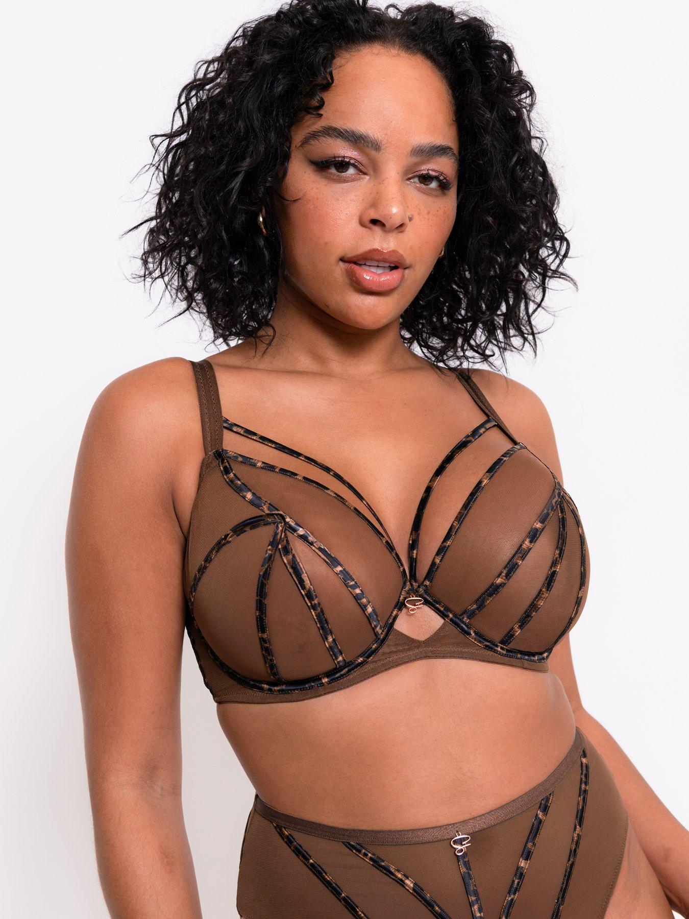 curvy-kate-scantilly-senses-plunge-bra-leopard-brownoutfit