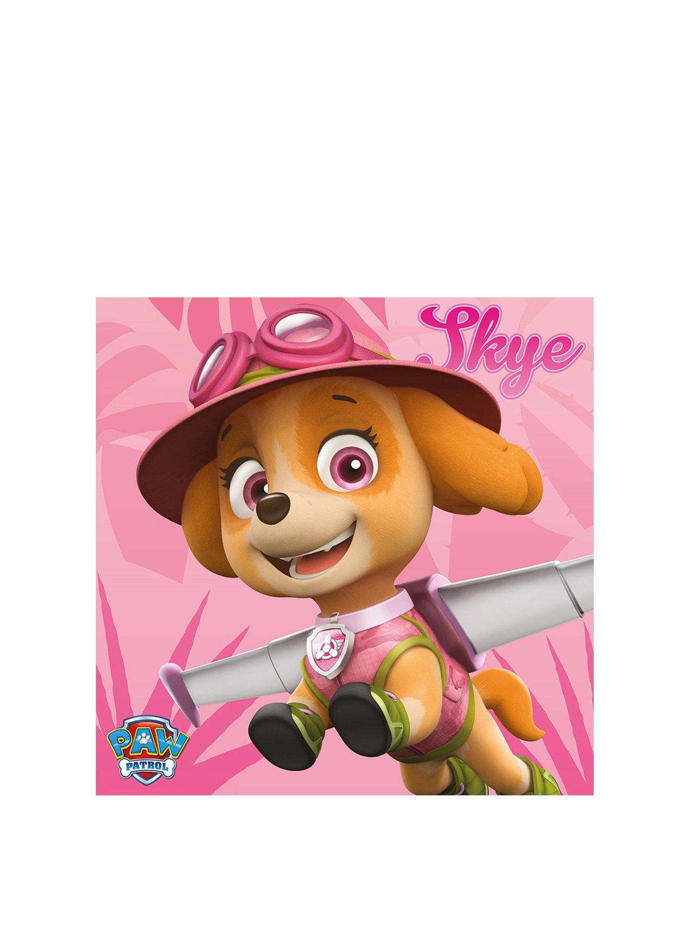 paw-patrol-skye-canvasstillFront