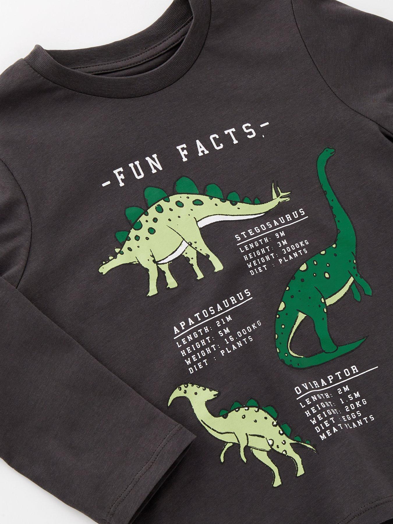 everyday-boys-dinosaur-graphic-long-sleeve-t-shirt-multioutfit