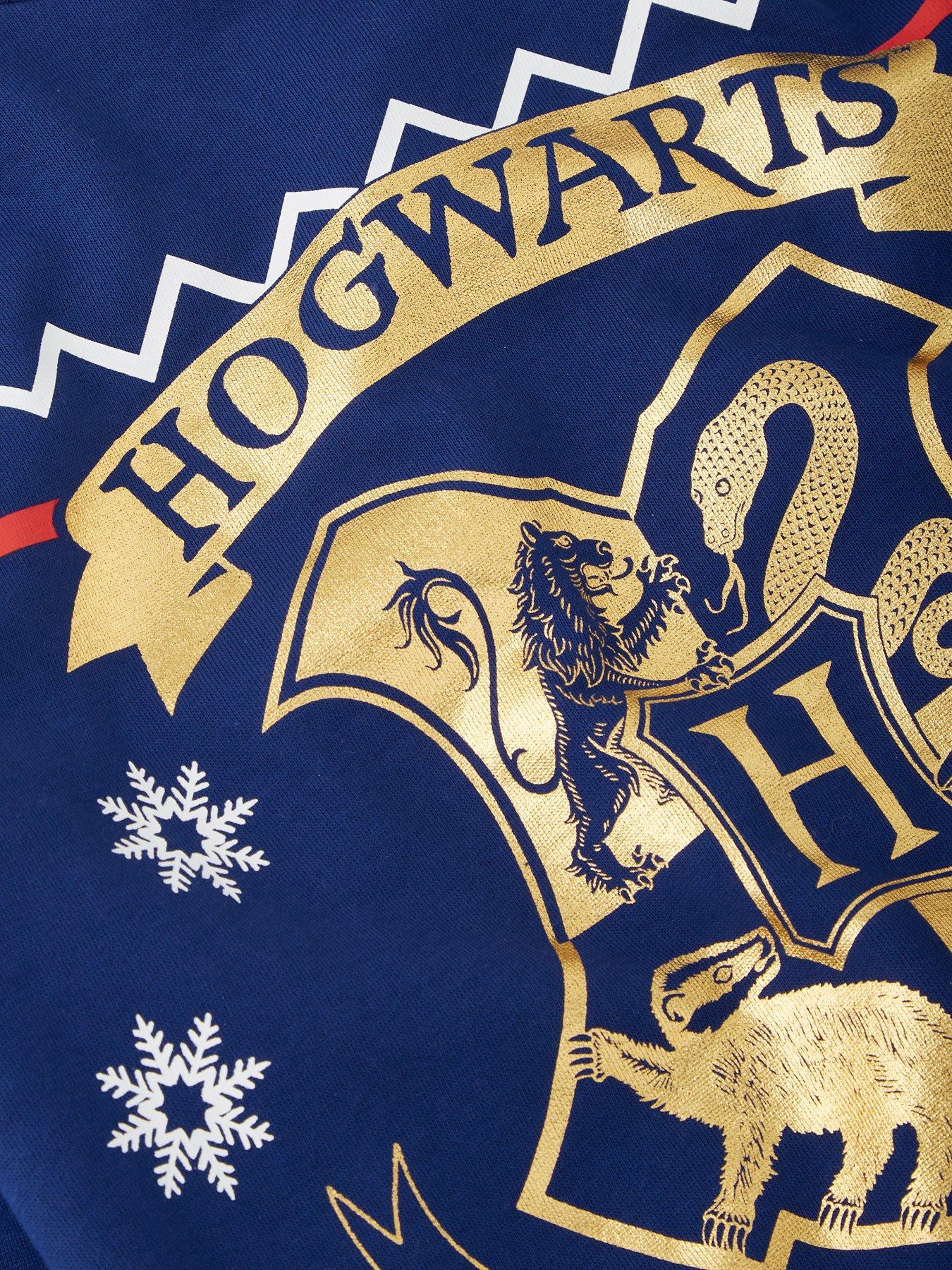 harry-potter-harry-potter-christmas-jumper-bluedetail