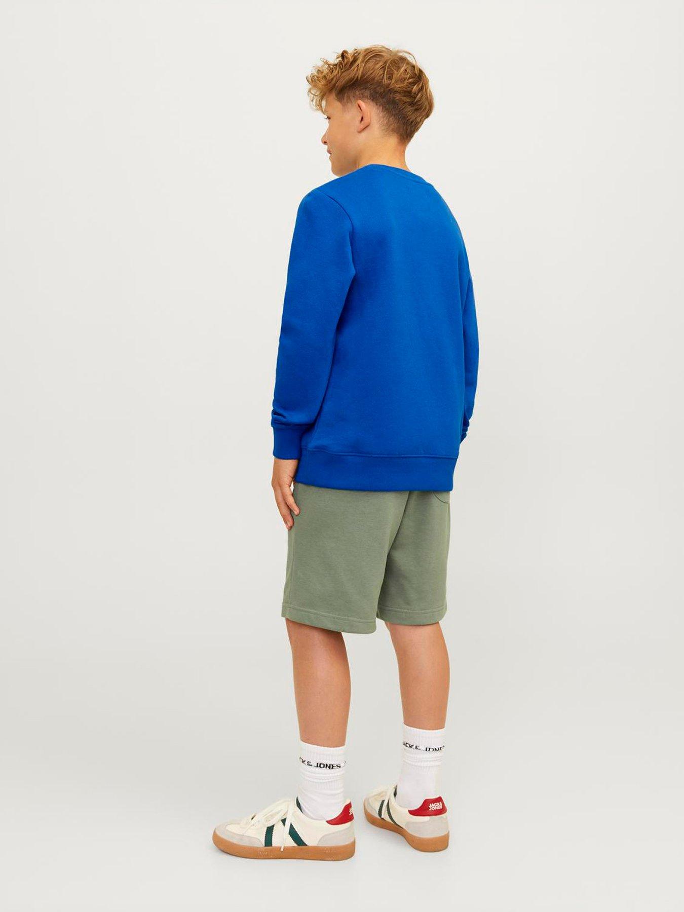 jack-jones-junior-boys-mountain-logo-crew-neck-sweat-lapis-blueback