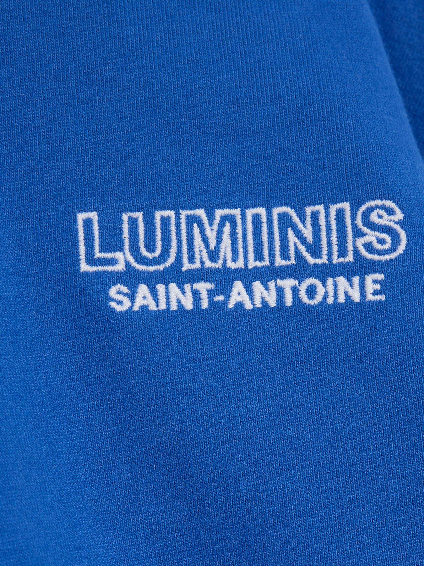 river-island-mini-mini-boys-luminis-graphic-t-shirt-bluedetail