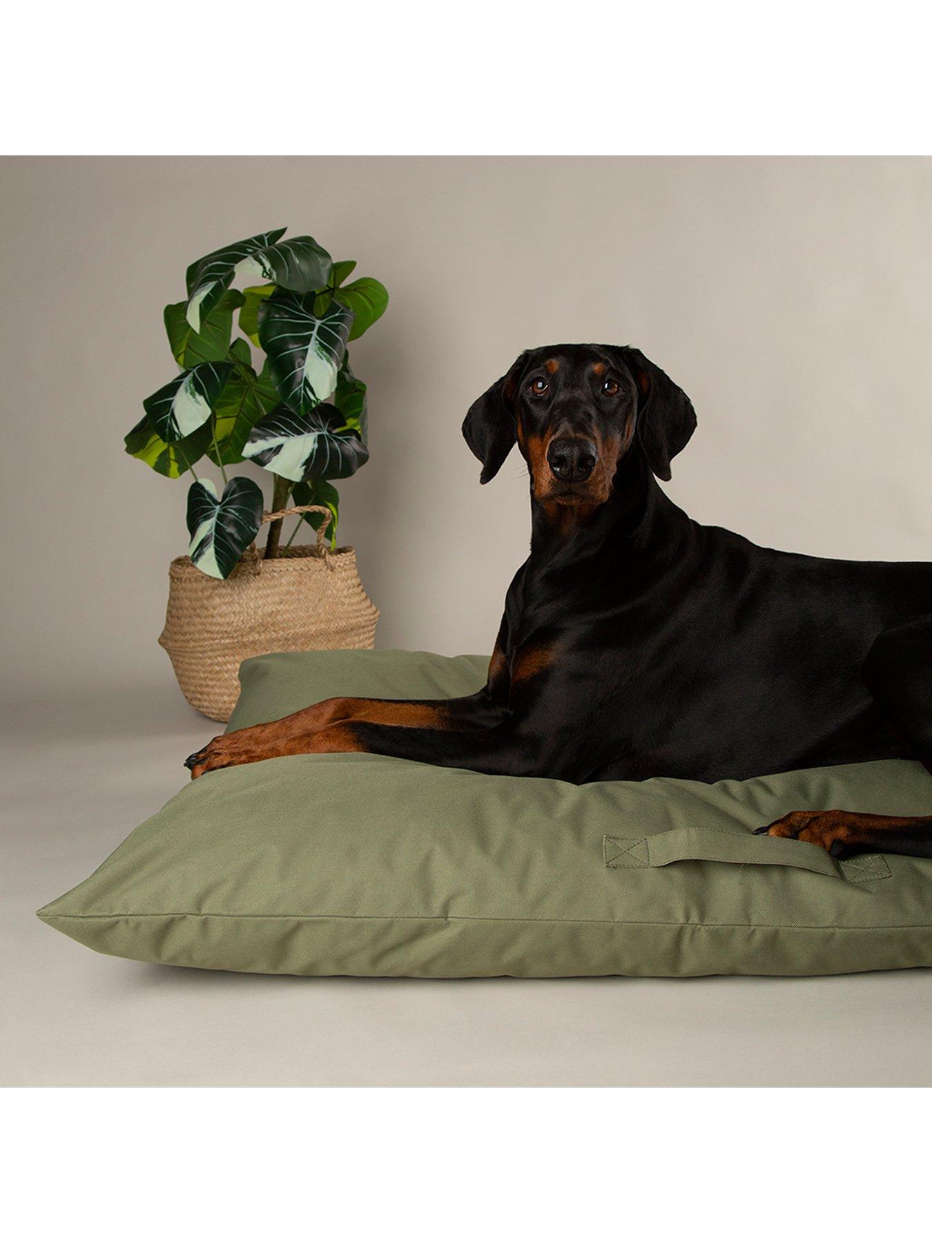 scruffs-expedition-memory-foam-orthopaedic-dog-bed-pillow-khaki-greenstillFront