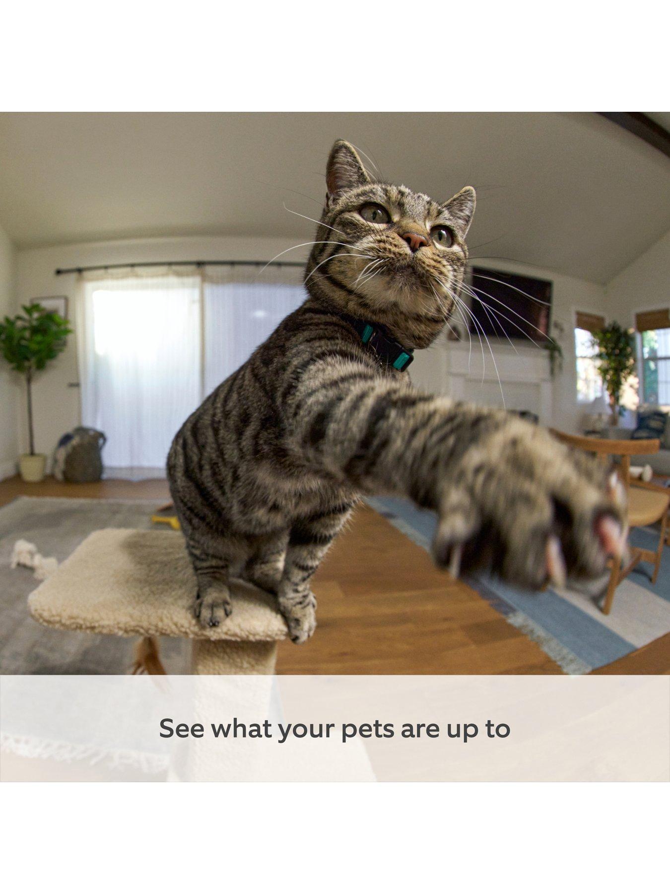 Image 5 of 8 of RING Ring Pan-Tilt Indoor Smart Camera (UK) - 2 pack, White