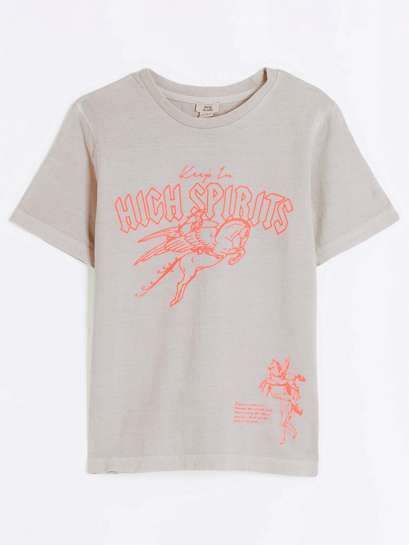 river-island-boys-graphic-print-t-shirt-beige