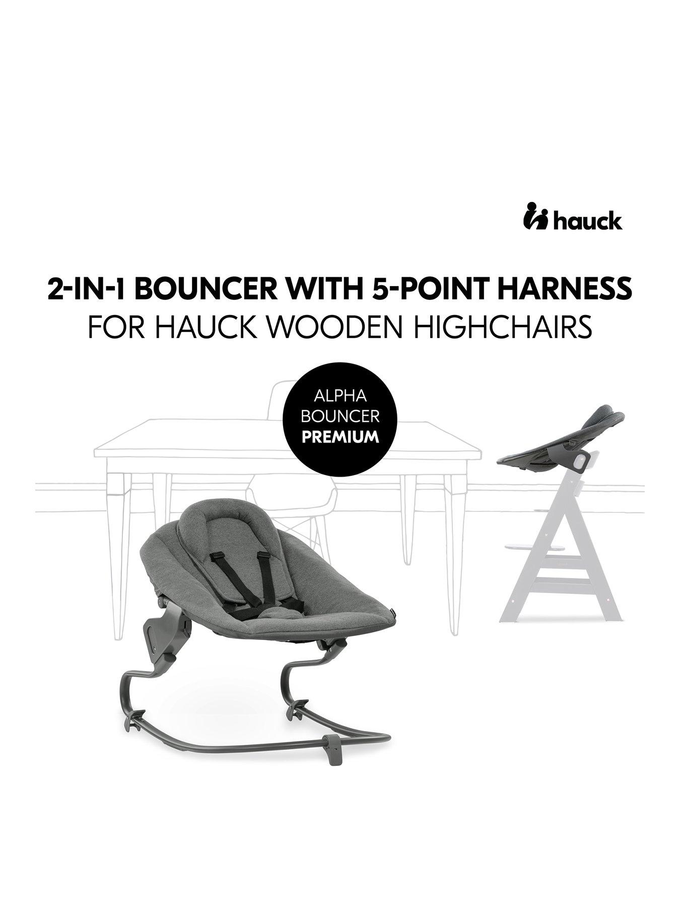 Image 2 of 8 of Hauck Alpha Bouncer Premium - Dark Grey
