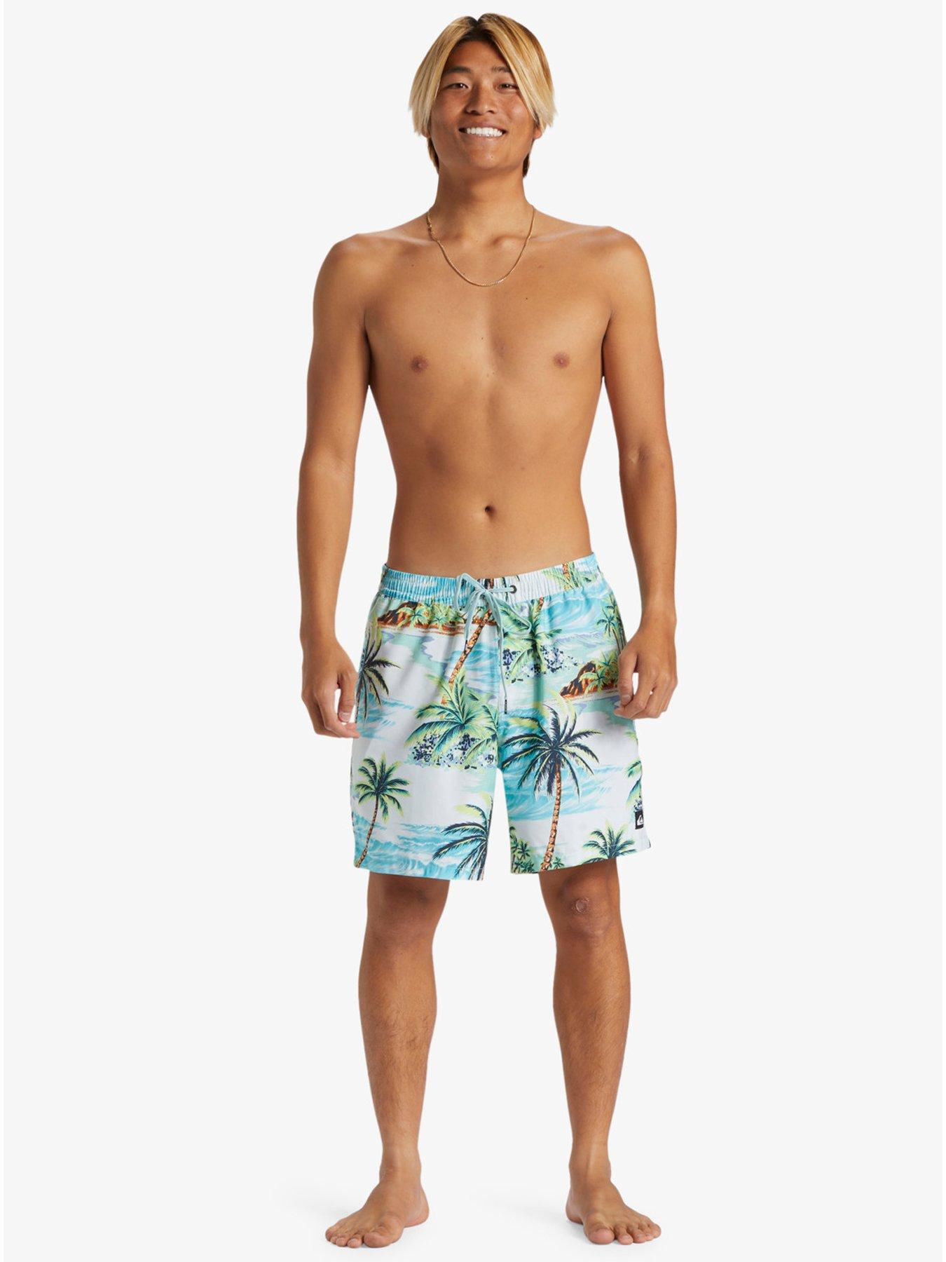 quiksilver-mens-everyday-mix-volley-17-blue-printback