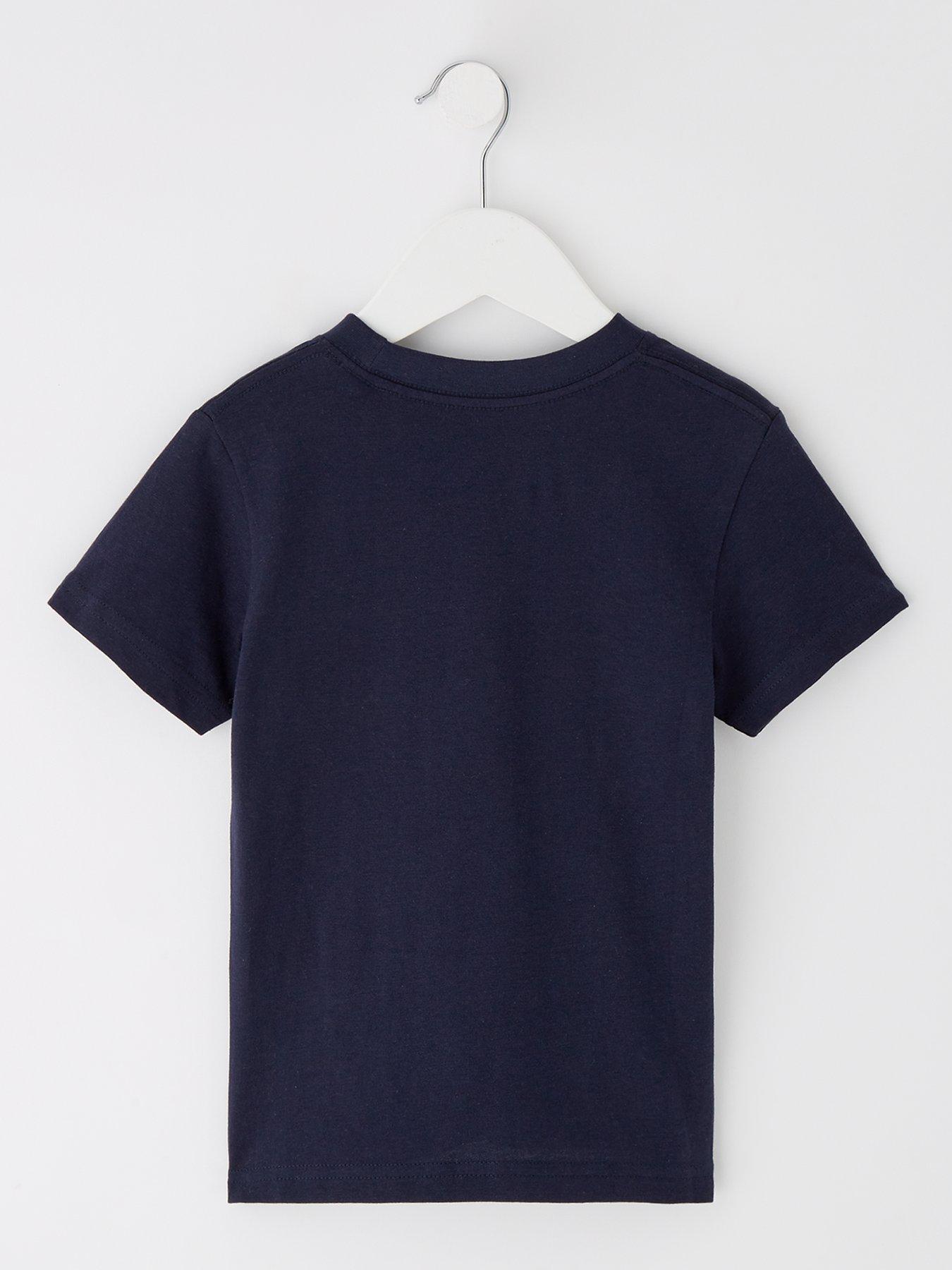 jack-jones-mini-younger-boys-vesterbro-newton-branding-tshirt-sky-captainback