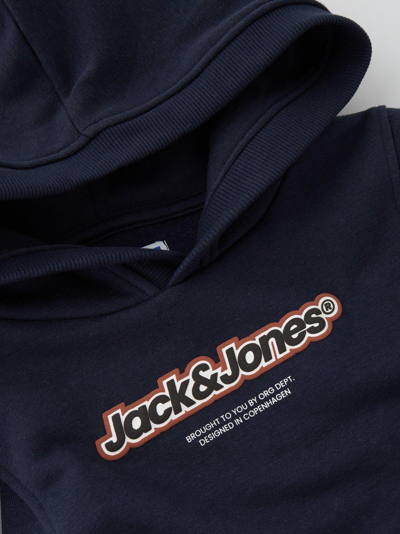 jack-jones-mini-younger-boys-vesterbro-newton-branding-sweat-hoodie-sky-captaindetail