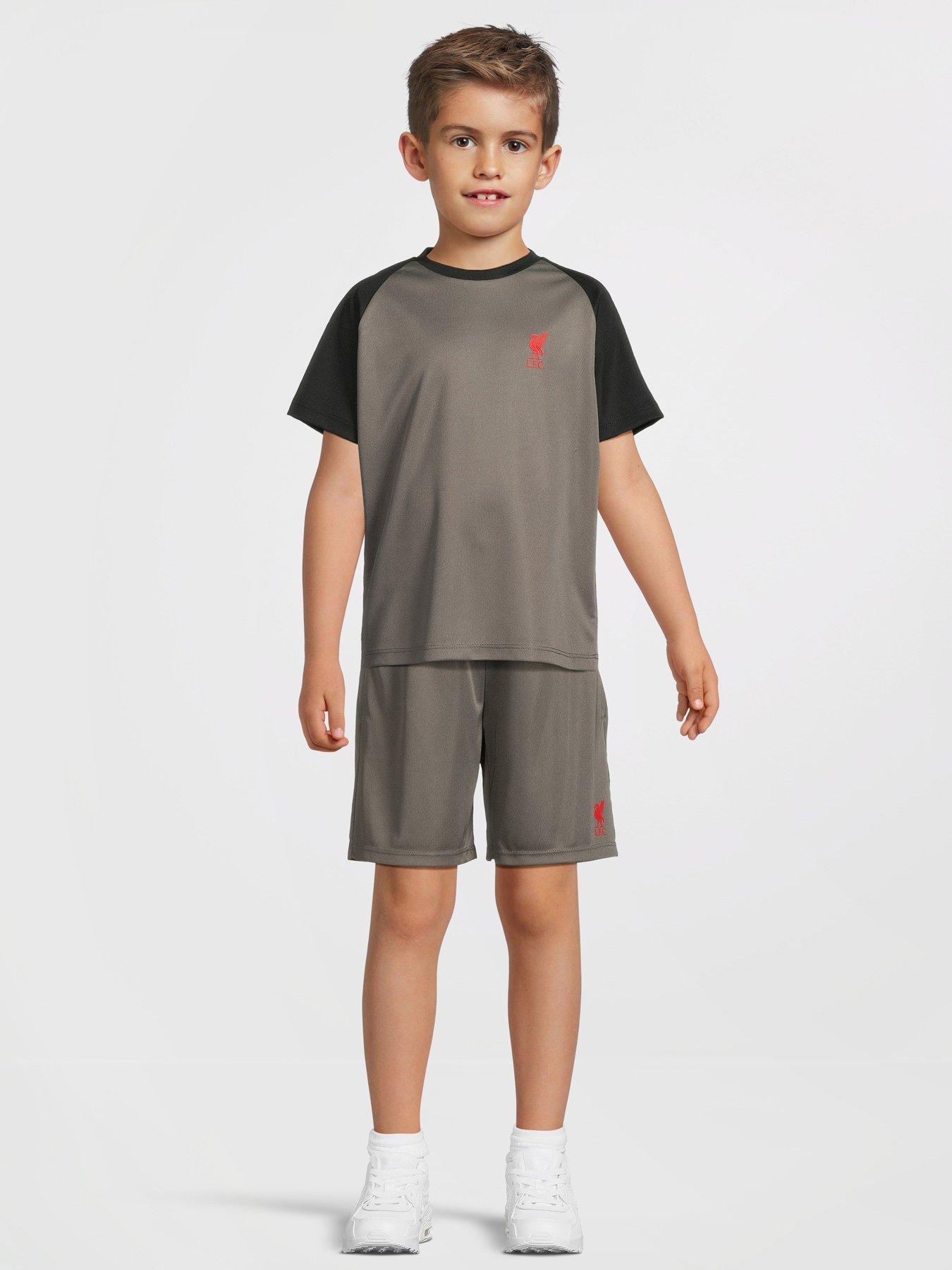 undefined Raglan Liverbird T-Shirt - Grey