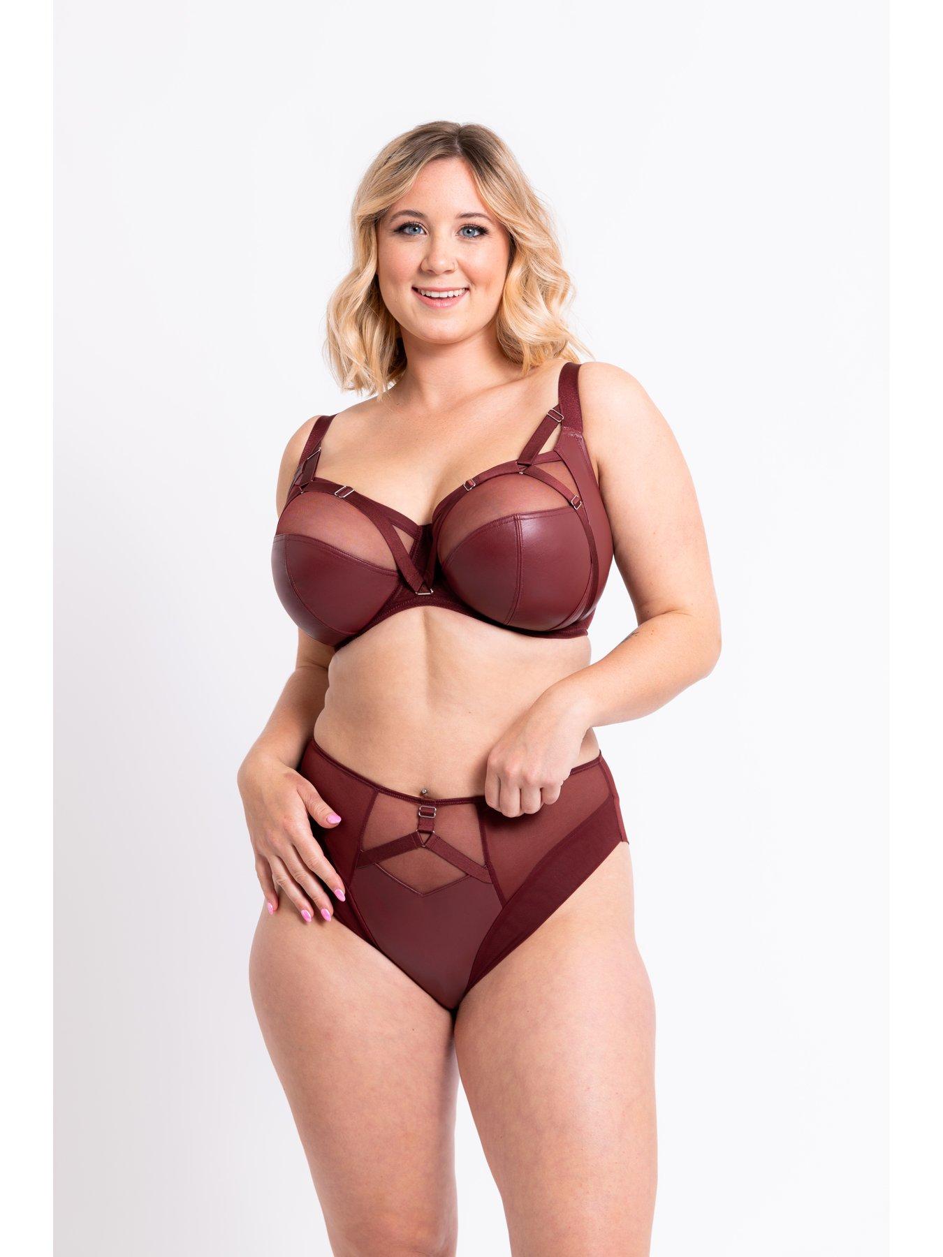 curvy-kate-curvy-kate-enclose-high-waist-brief-oxbloodback