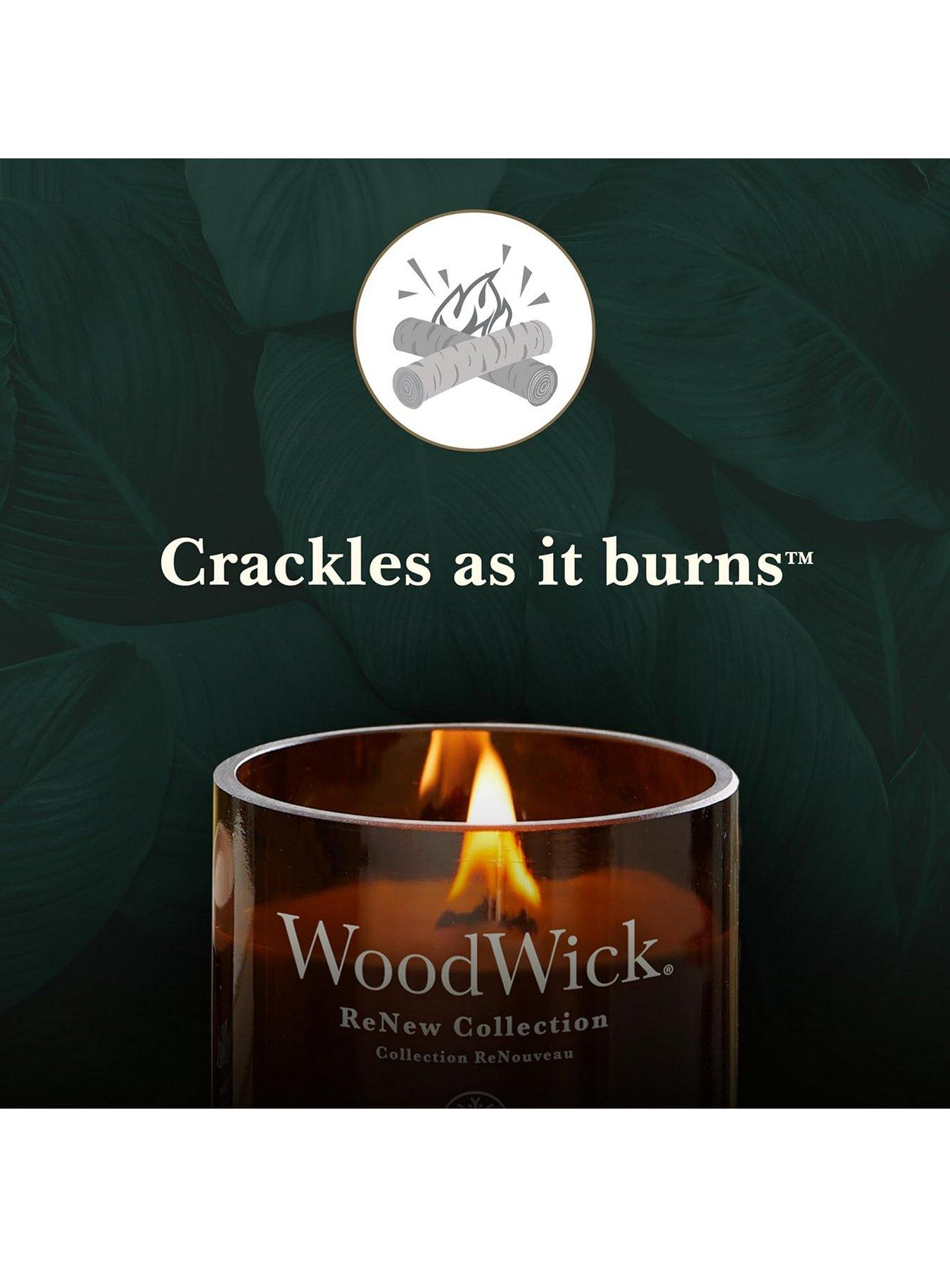 woodwick-woodwick-renew-black-currant-amp-rose-large-candleback