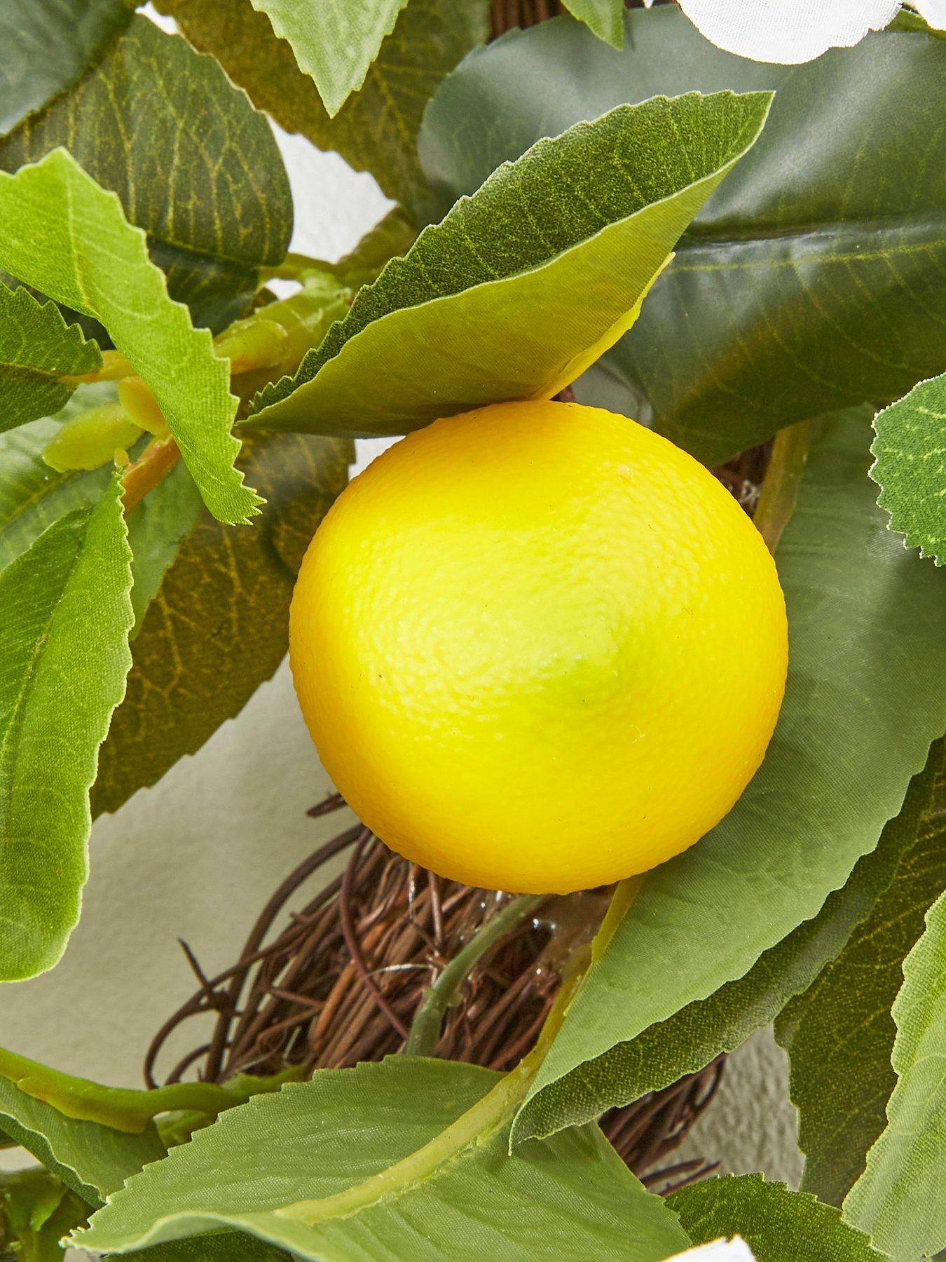 the-very-collection-lemon-wreathoutfit