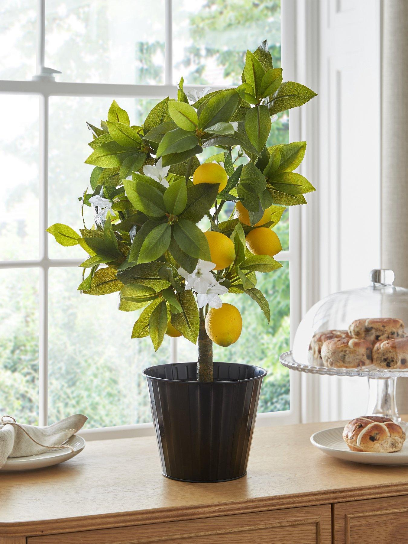 undefined Lemon Table Top Tree