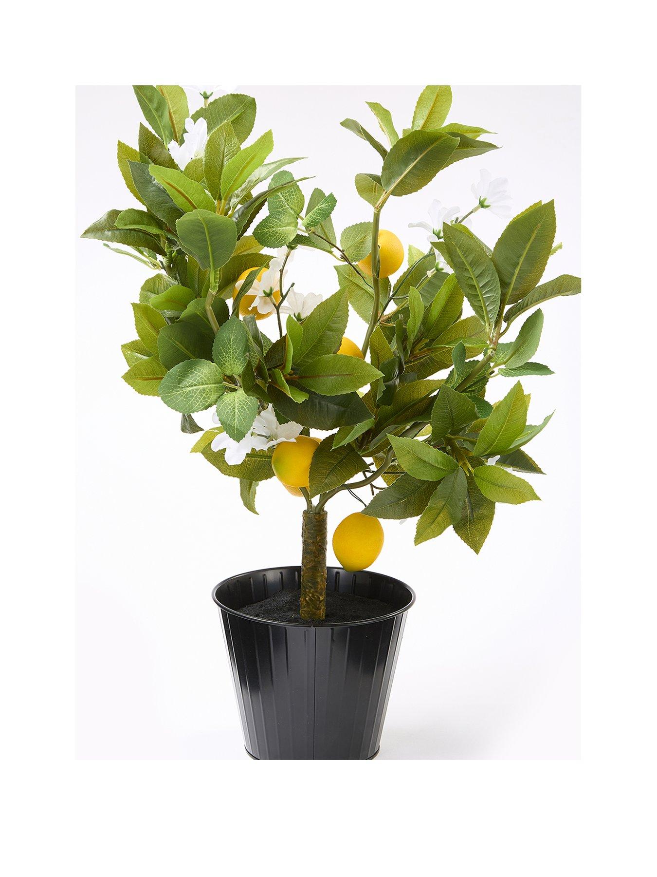 the-very-collection-lemon-table-top-treeback