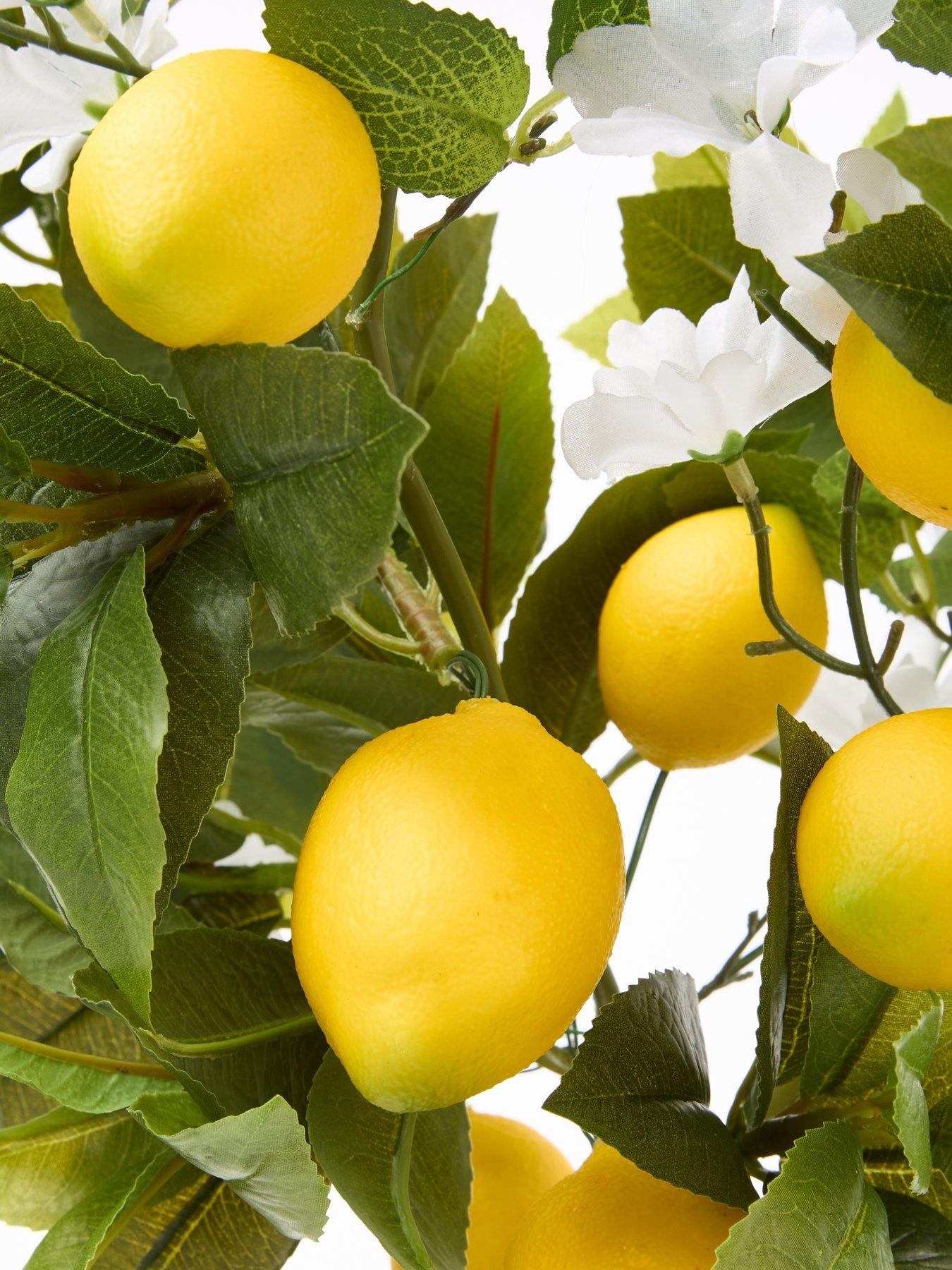 the-very-collection-lemon-table-top-treeoutfit