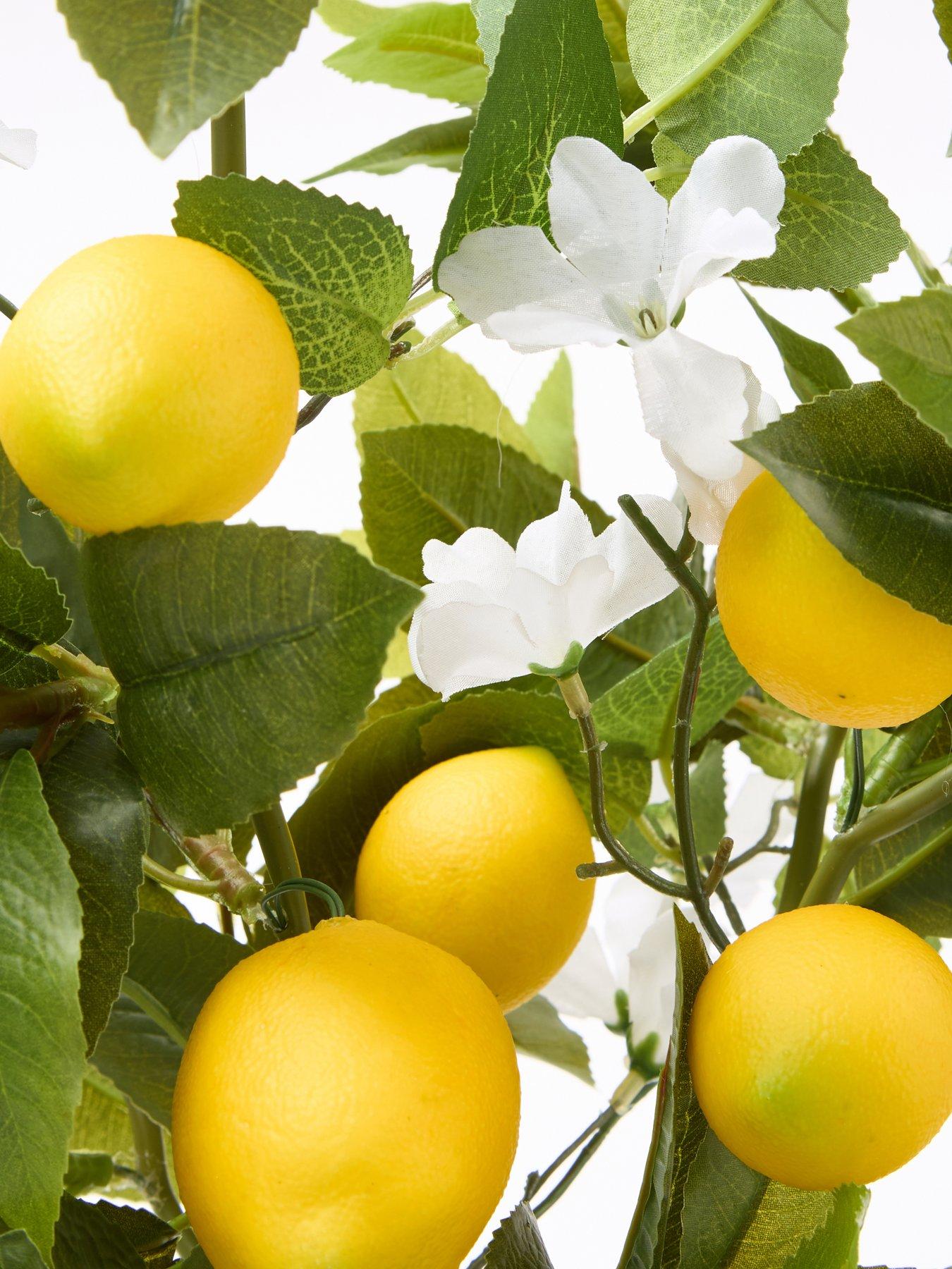 the-very-collection-lemon-table-top-treedetail