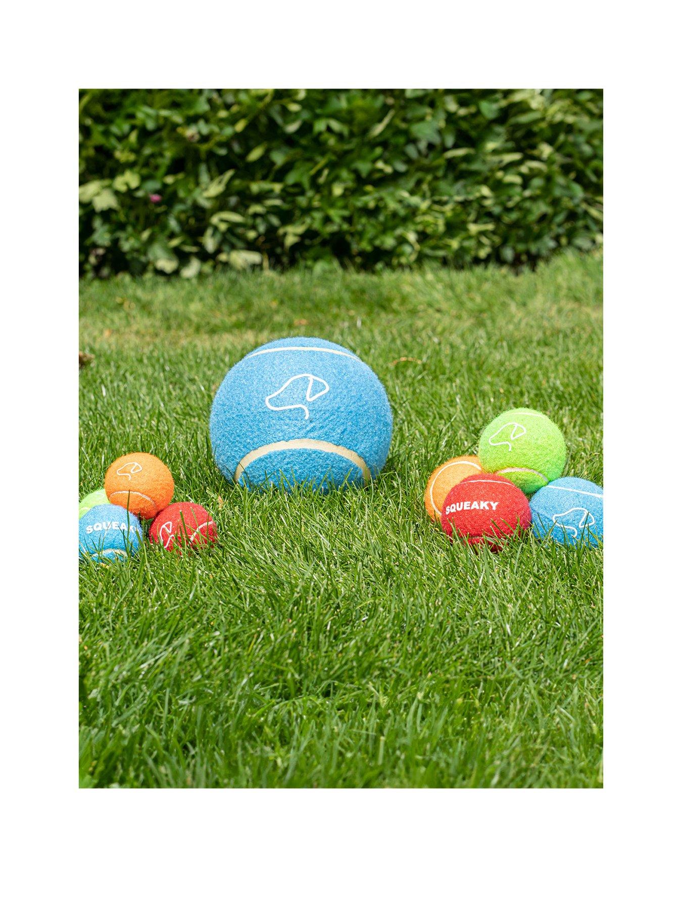 zoon-tennis-balls-pack-of-12stillFront