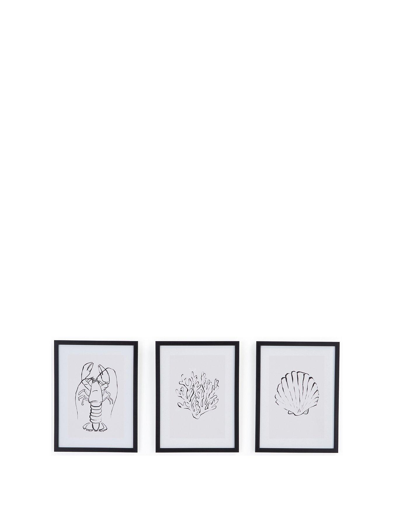 The Very Collection Set of 3 Framed Sea Shell Art Prints | Very Ireland
