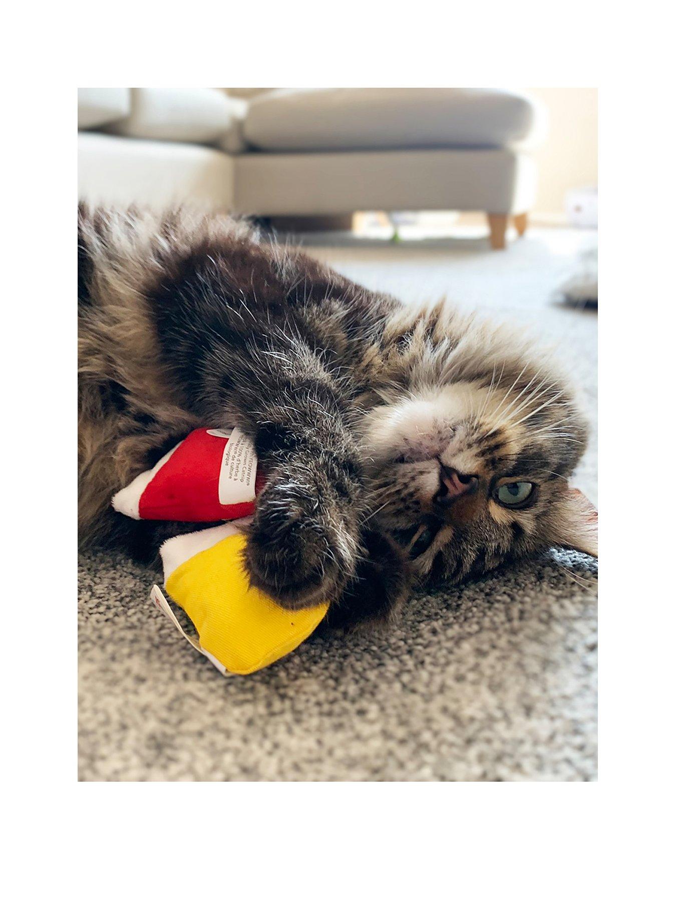 yeowww-yeowww-3-kitten-mittensstillFront