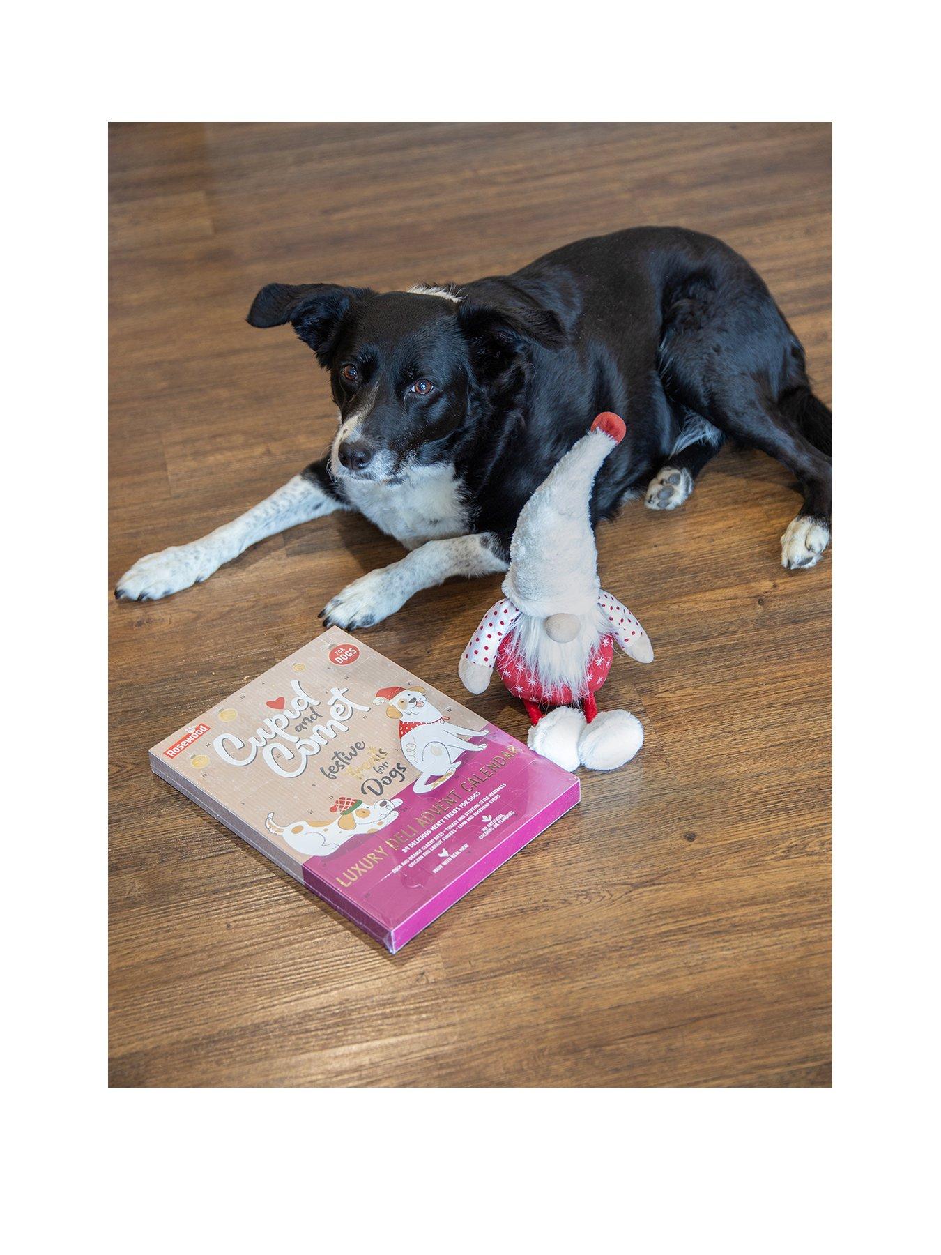 rosewood-christmas-dog-luxury-deli-advent-calendar-amp-squeaky-plush-toy-bundlestillFront